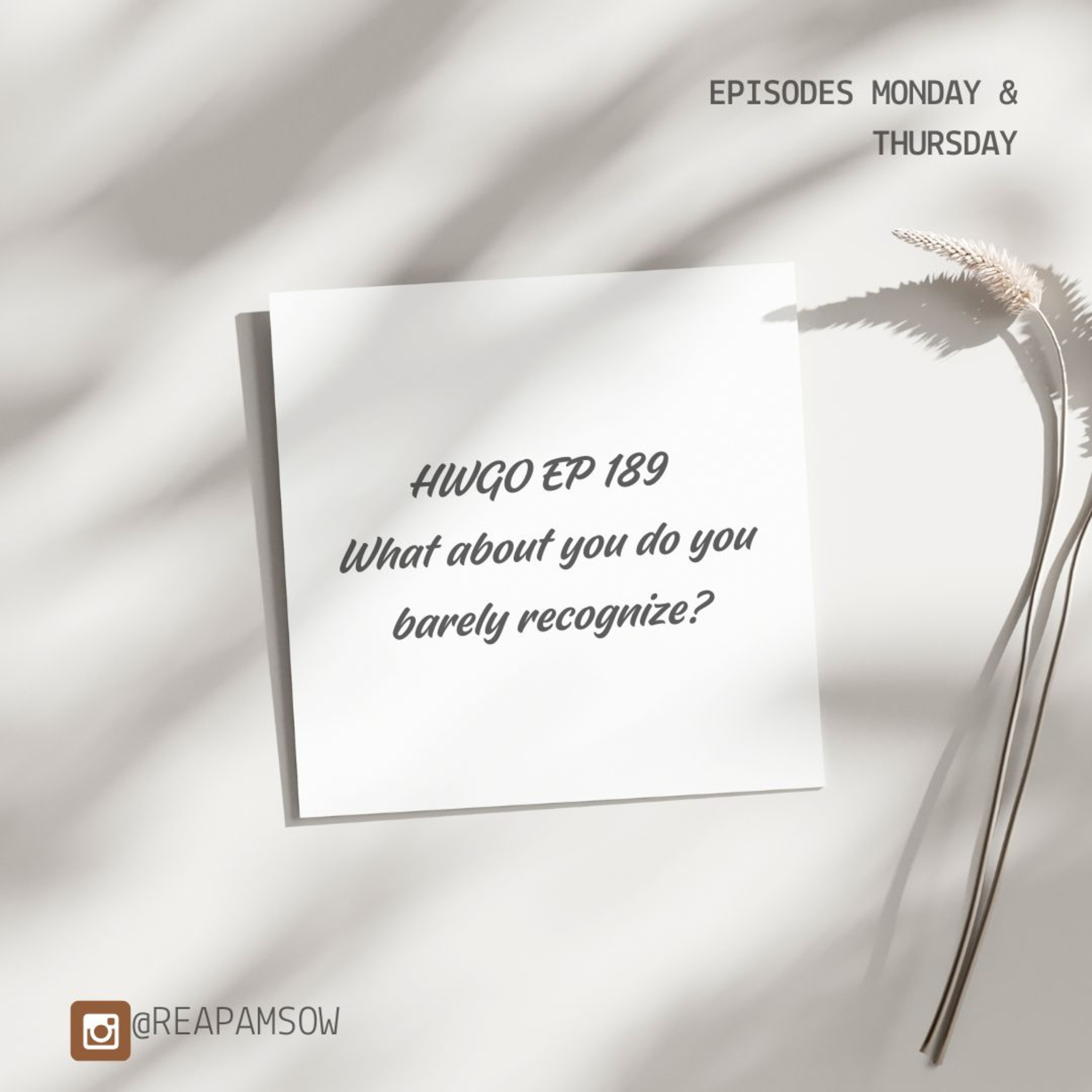 HWGO EP 189 What about you do you barely recognize? episode artwork
