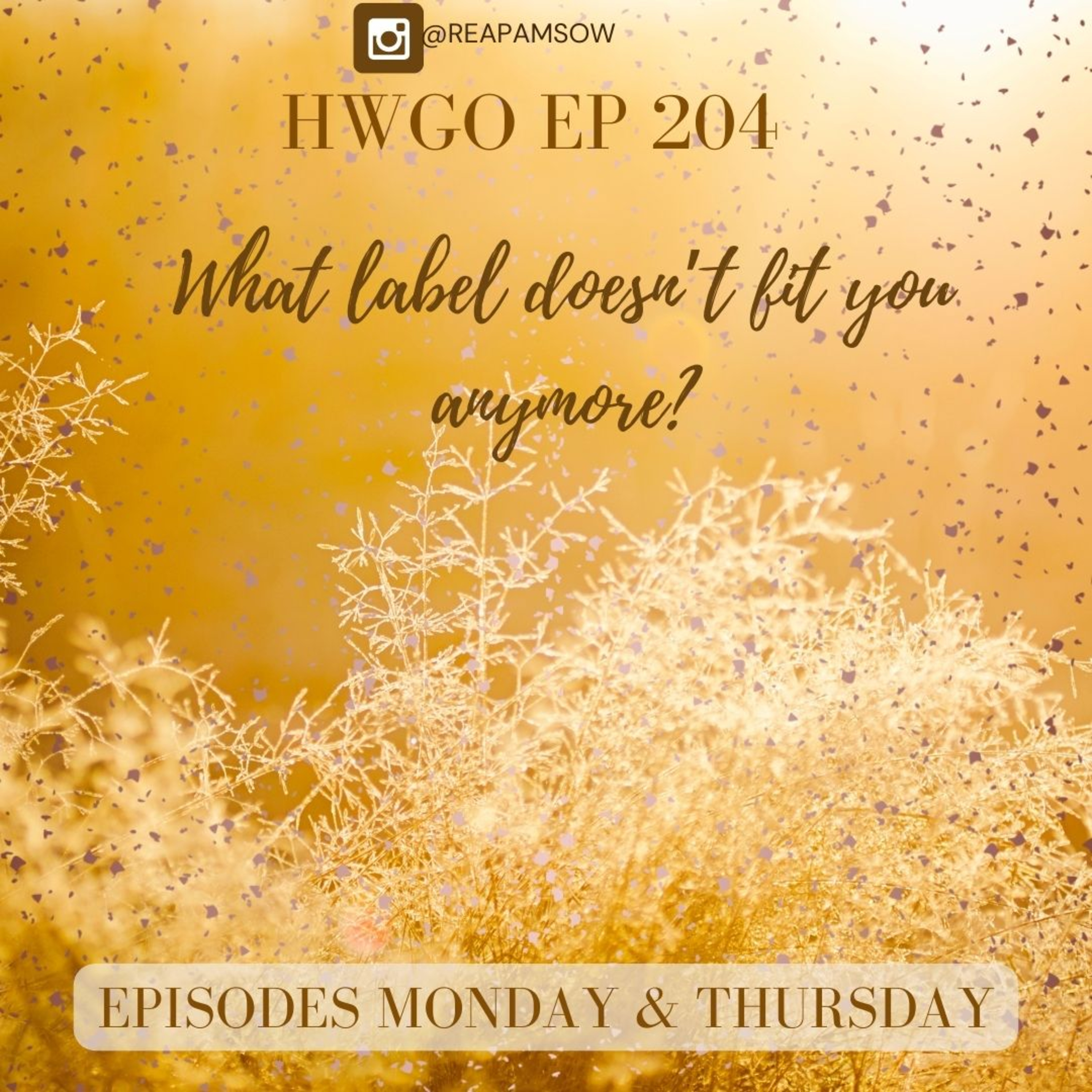 HWGO EP 204 What label doesn’t fit you anymore? episode artwork