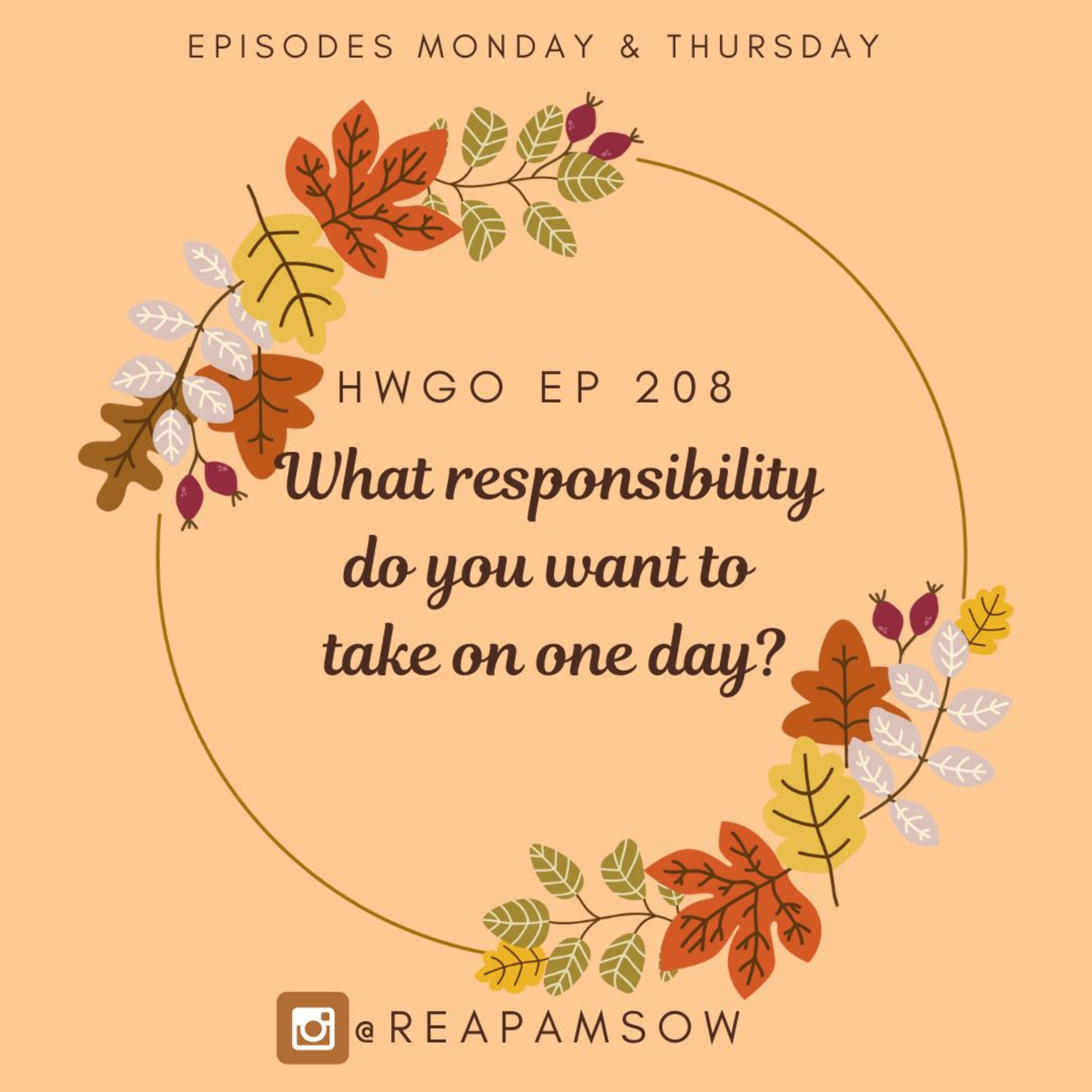 HWGO EP 208 What responsibility do you want to take on one day? episode artwork