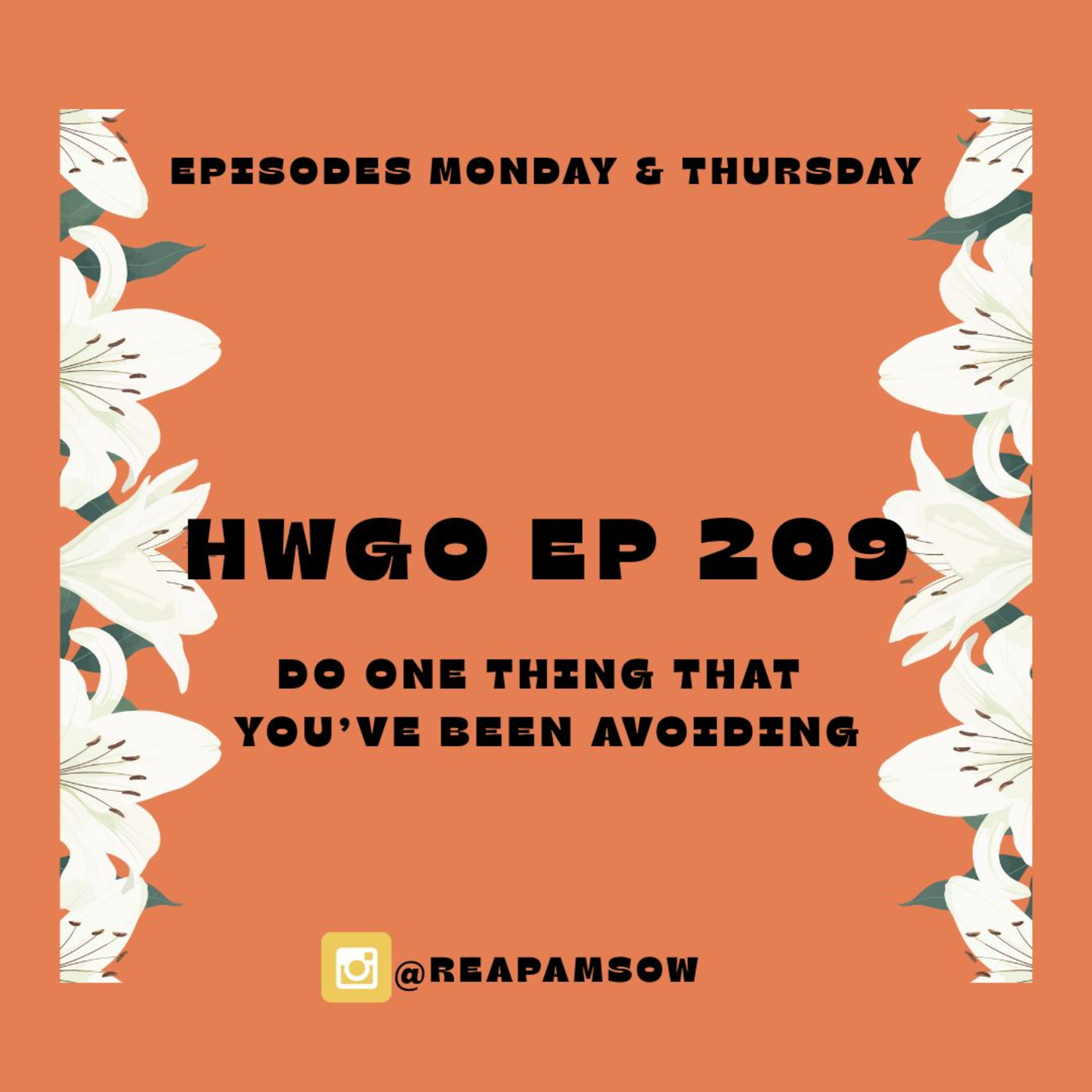 HWGO EP 209 Do one thing that you’ve been avoiding episode artwork