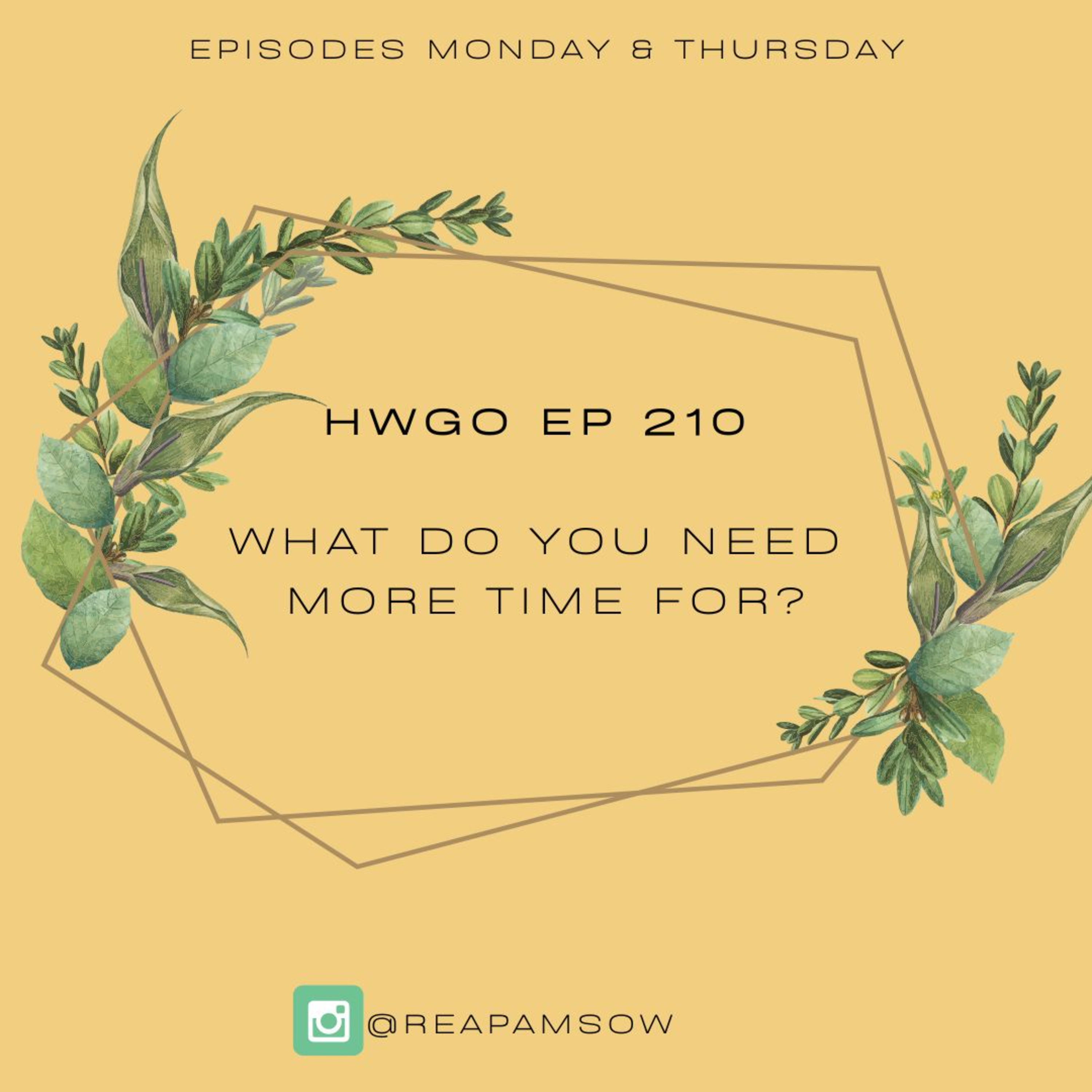HWGO EP 210 What do you need more time for? episode artwork