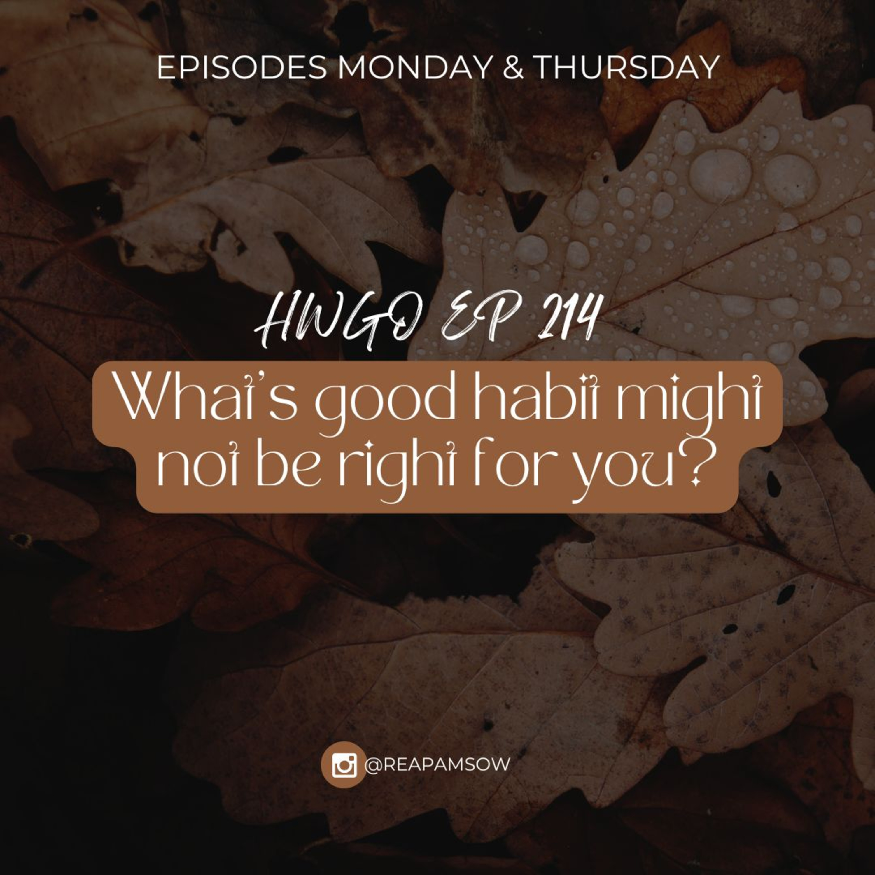 HWGO EP 214 What's good habit might not be right for you? episode artwork