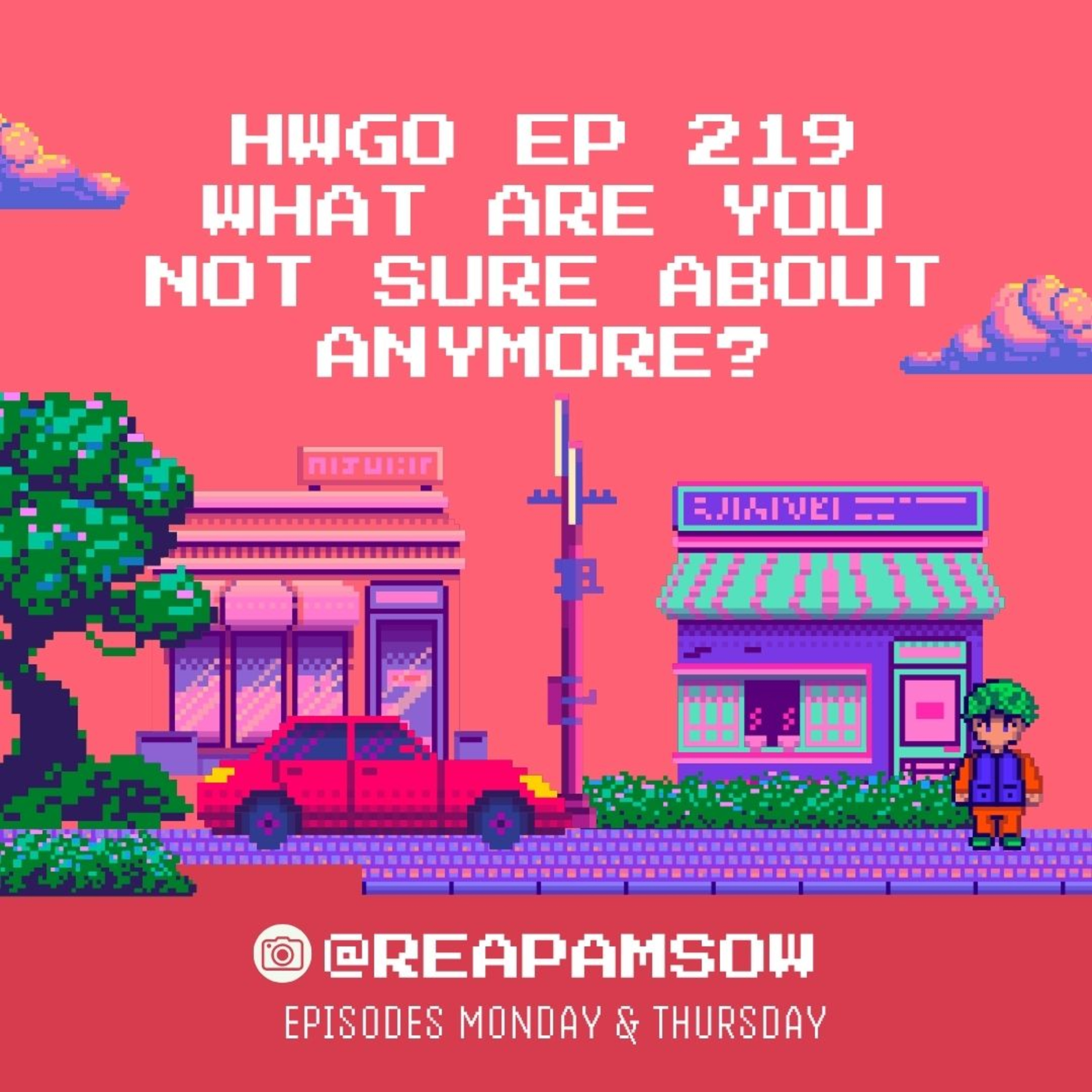 HWGO EP 219 What are you not sure about anymore? episode artwork