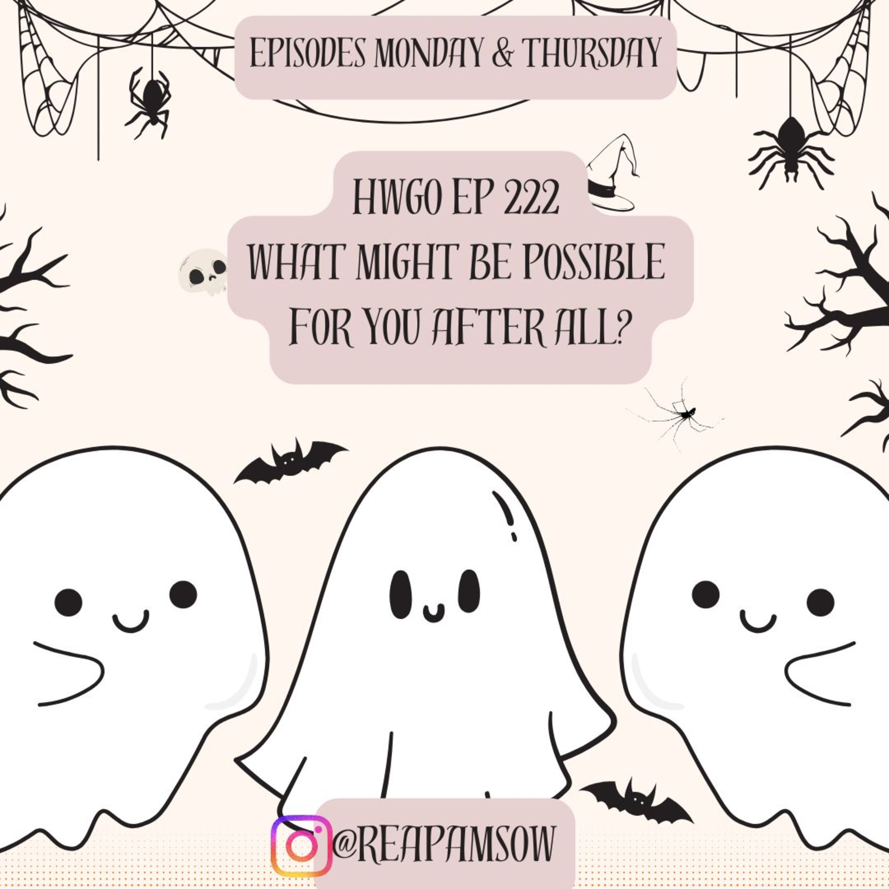 HWGO EP 222 What might be possible for you after all? episode artwork