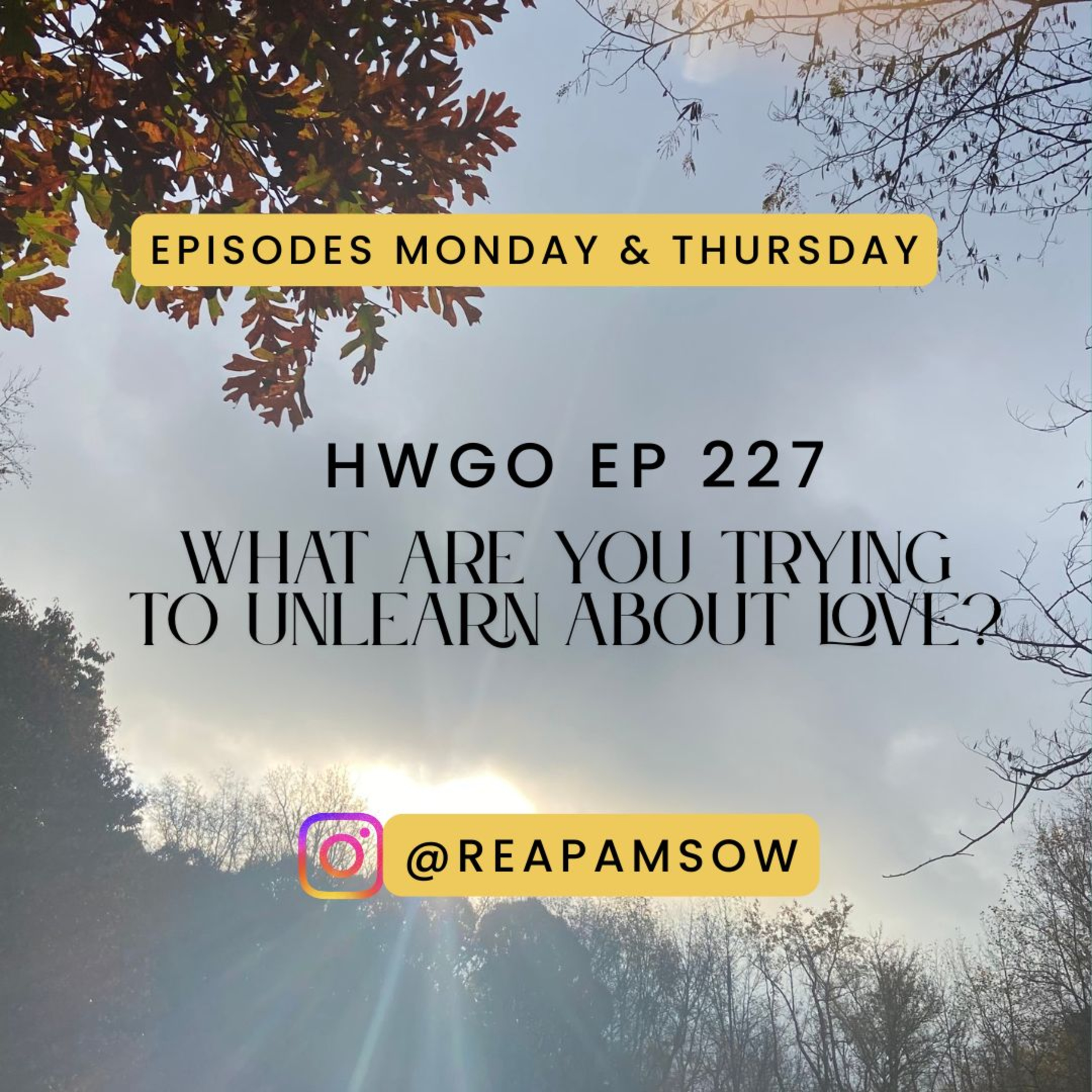HWGO EP 227 What are you trying to unlearn about love? episode artwork