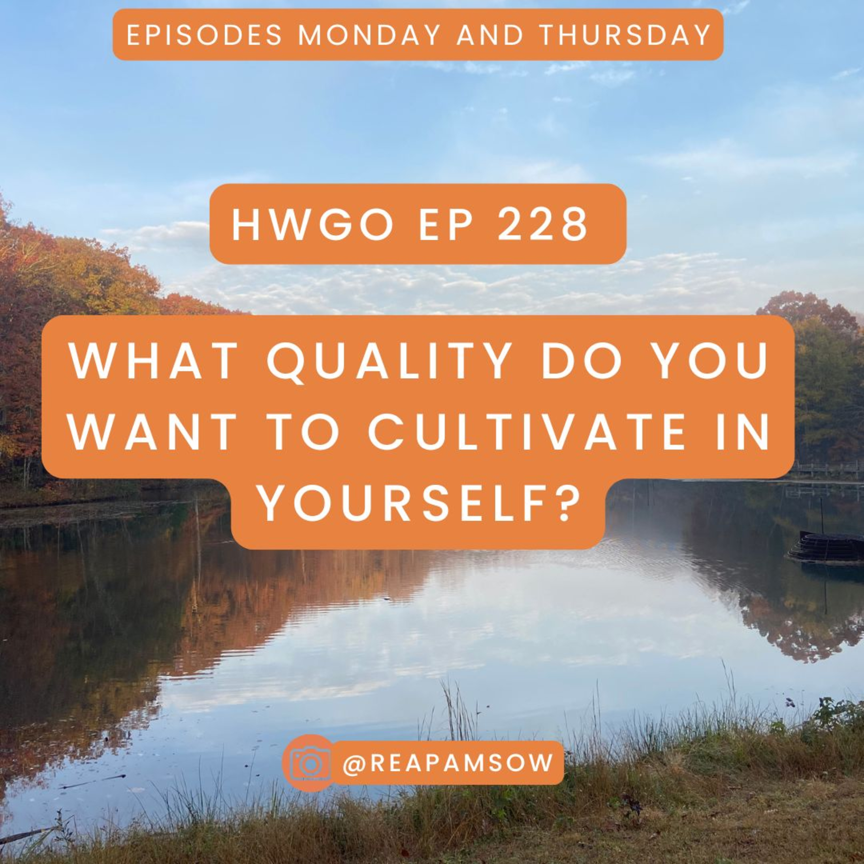 HWGO EP 228 What quality do you want to cultivate in yourself? episode artwork