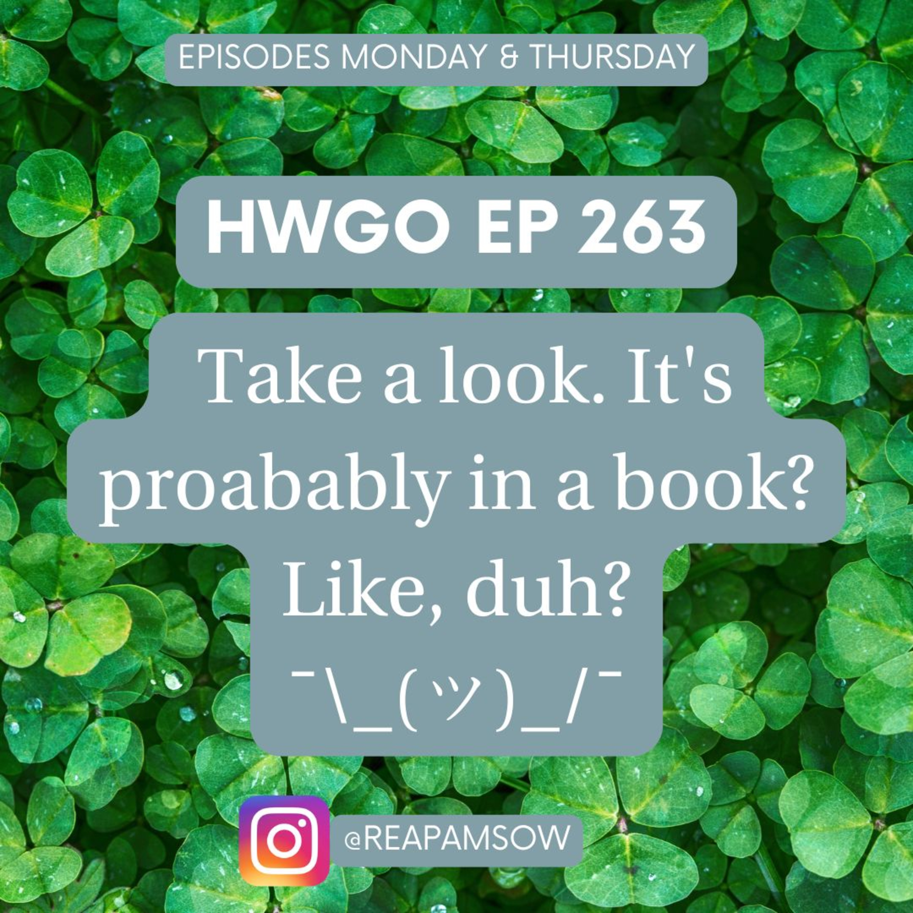 HWGO EP 263 Take a look. It's proabably in a book? Like, duh?¯\_(ツ)_/¯ episode artwork