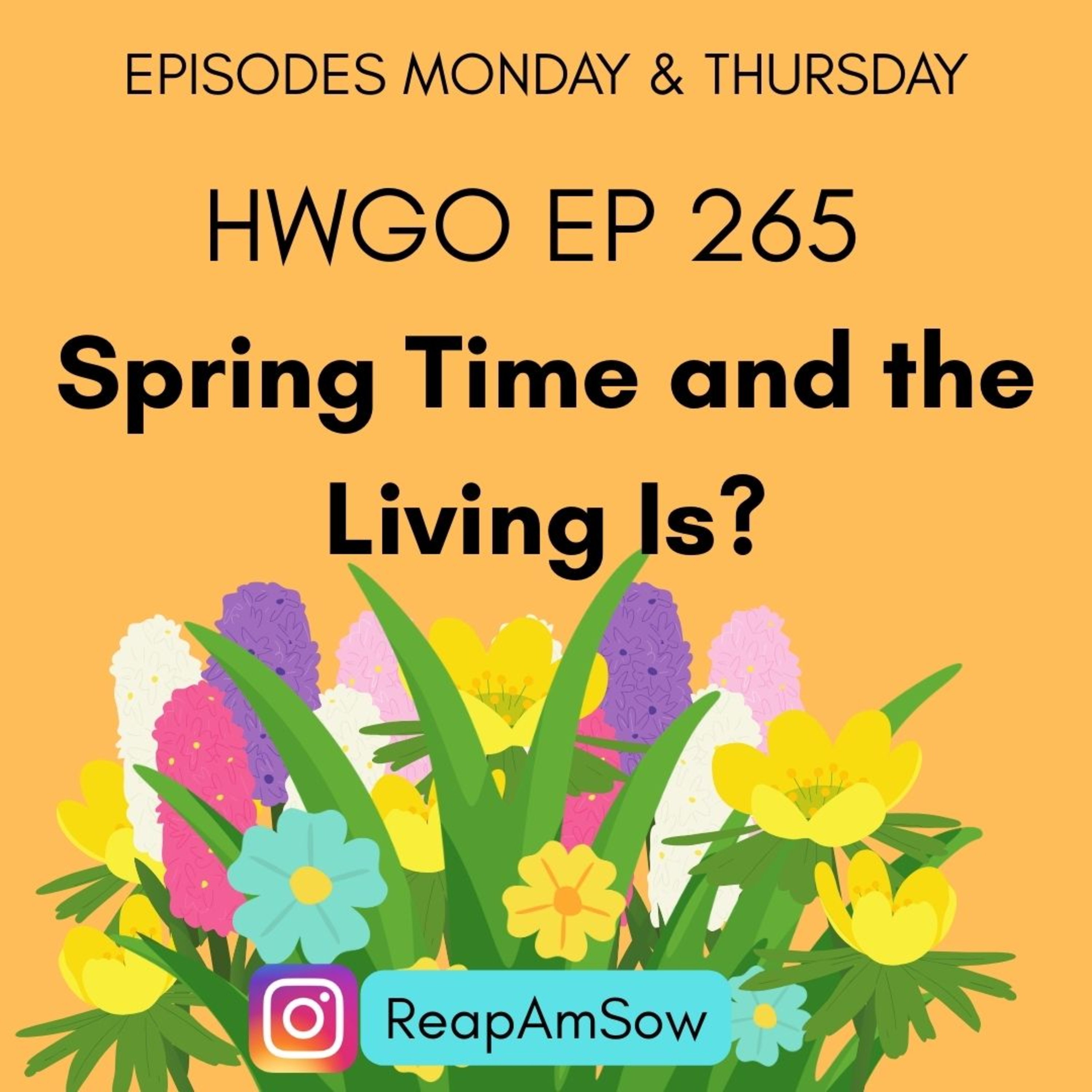 HWGO EP 265 Spring Time and the Living Is? episode artwork