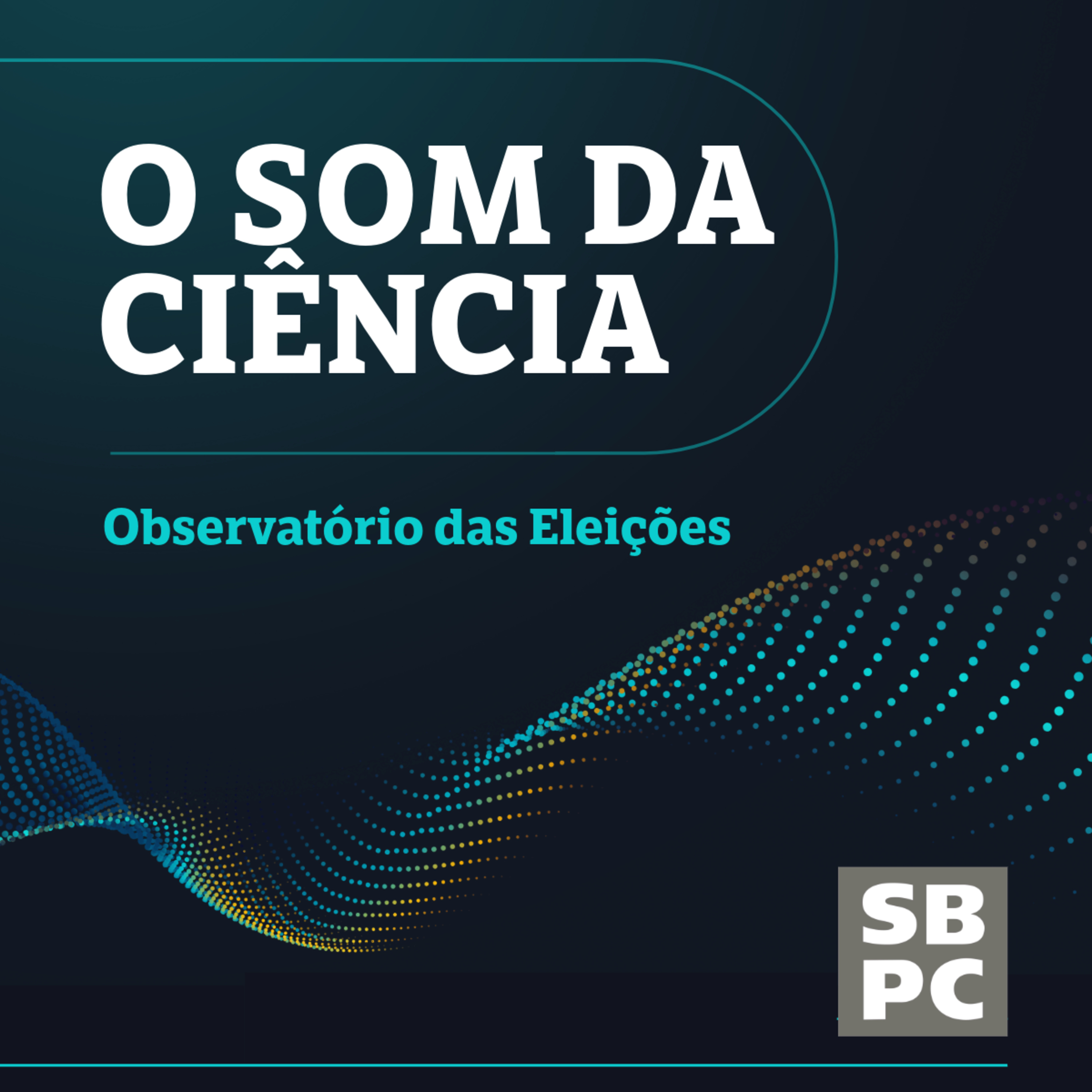 T13 #1 Observatório das Eleições episode artwork
