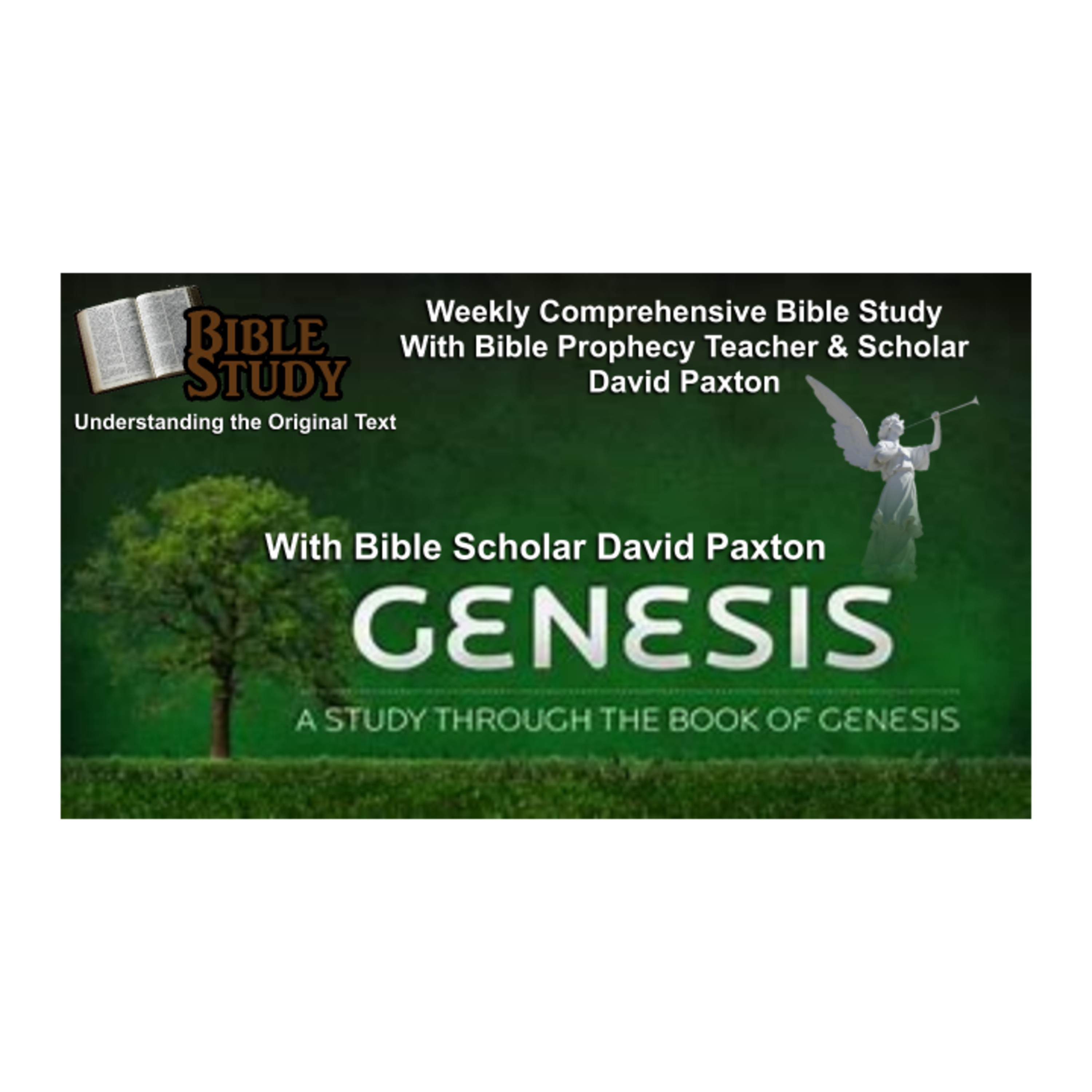 What is the Firmament Spoken of in Genesis 1 Verse 6 - Weekly Comprehensive Bible Study? episode artwork