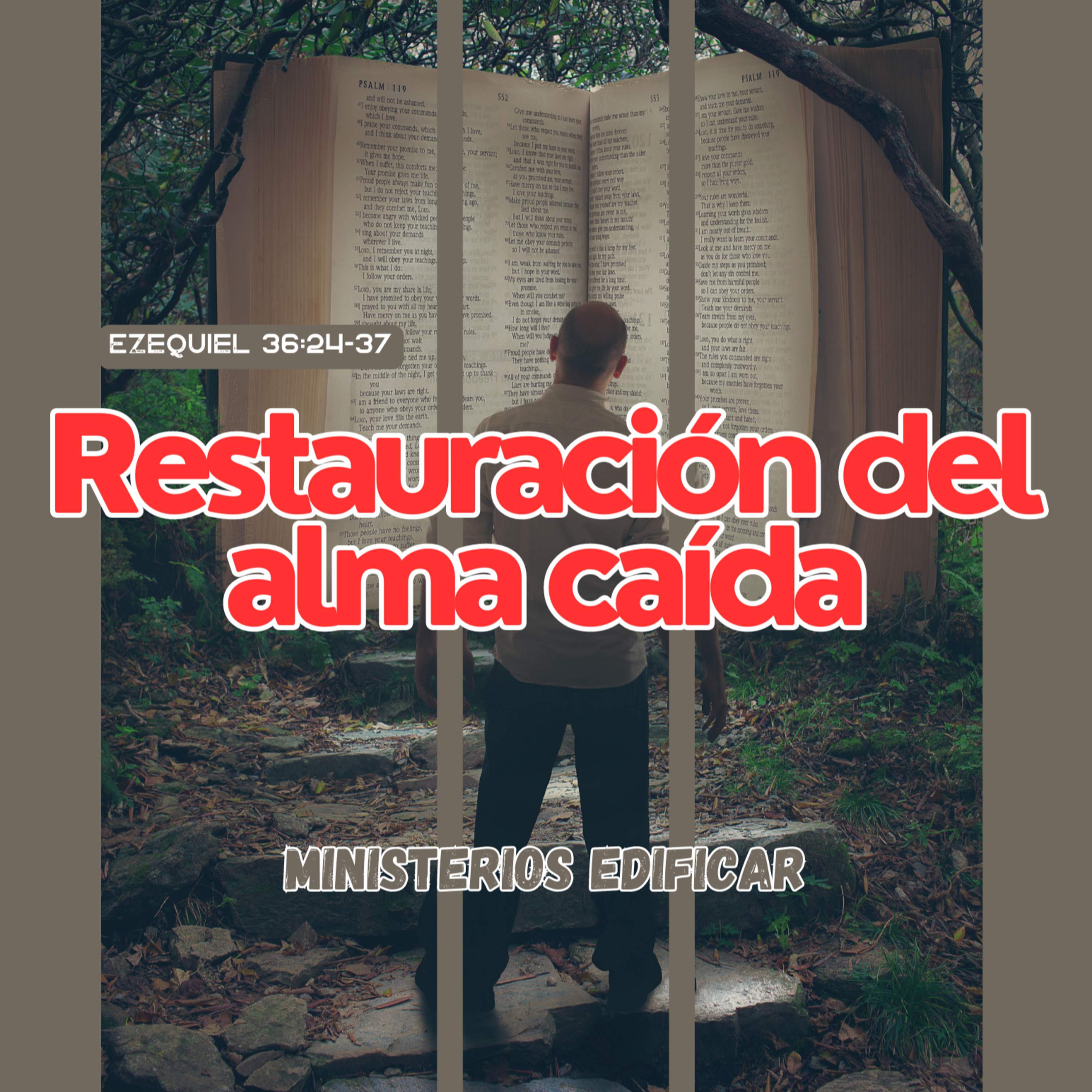 SOLO EL MENSAJE