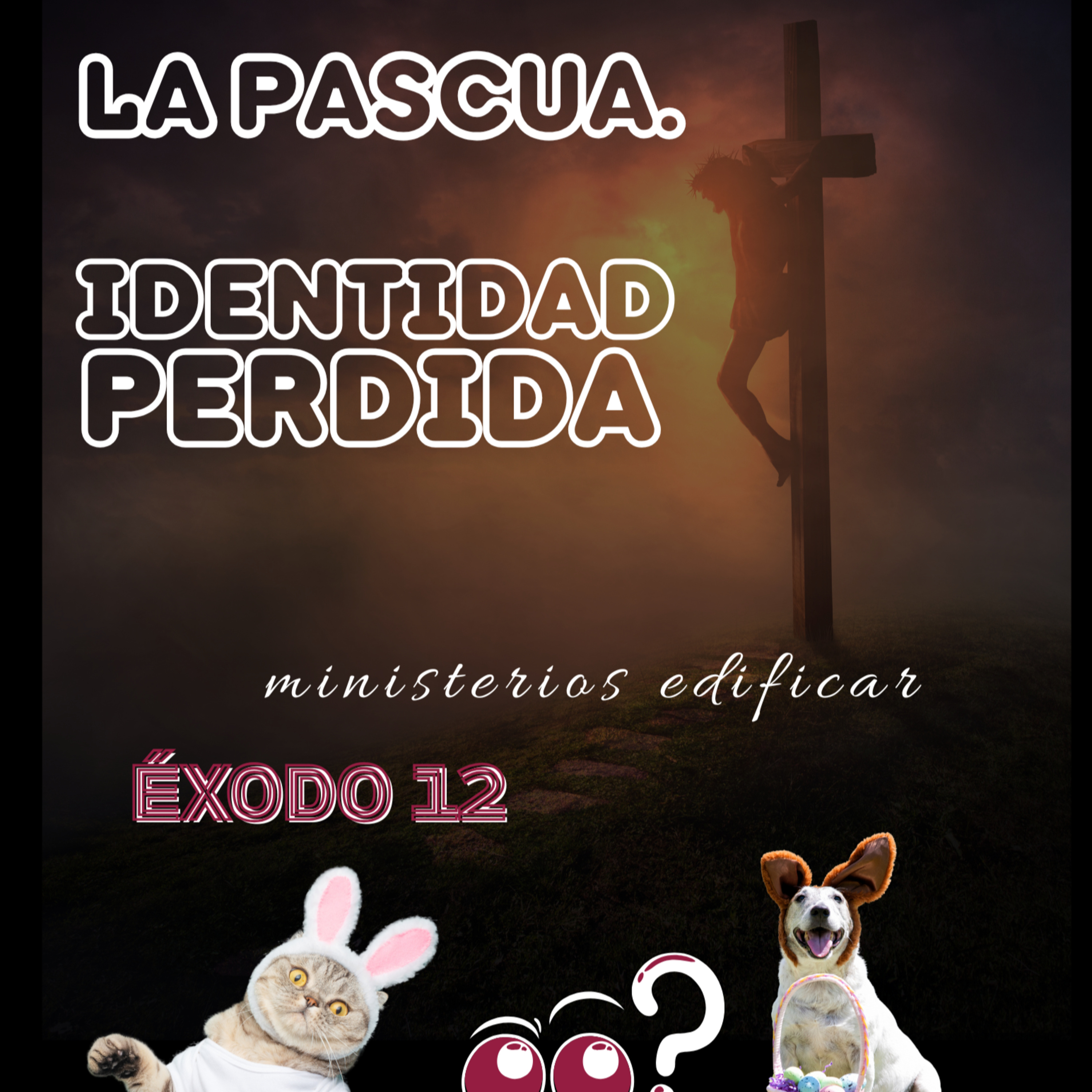 SOLO EL MENSAJE