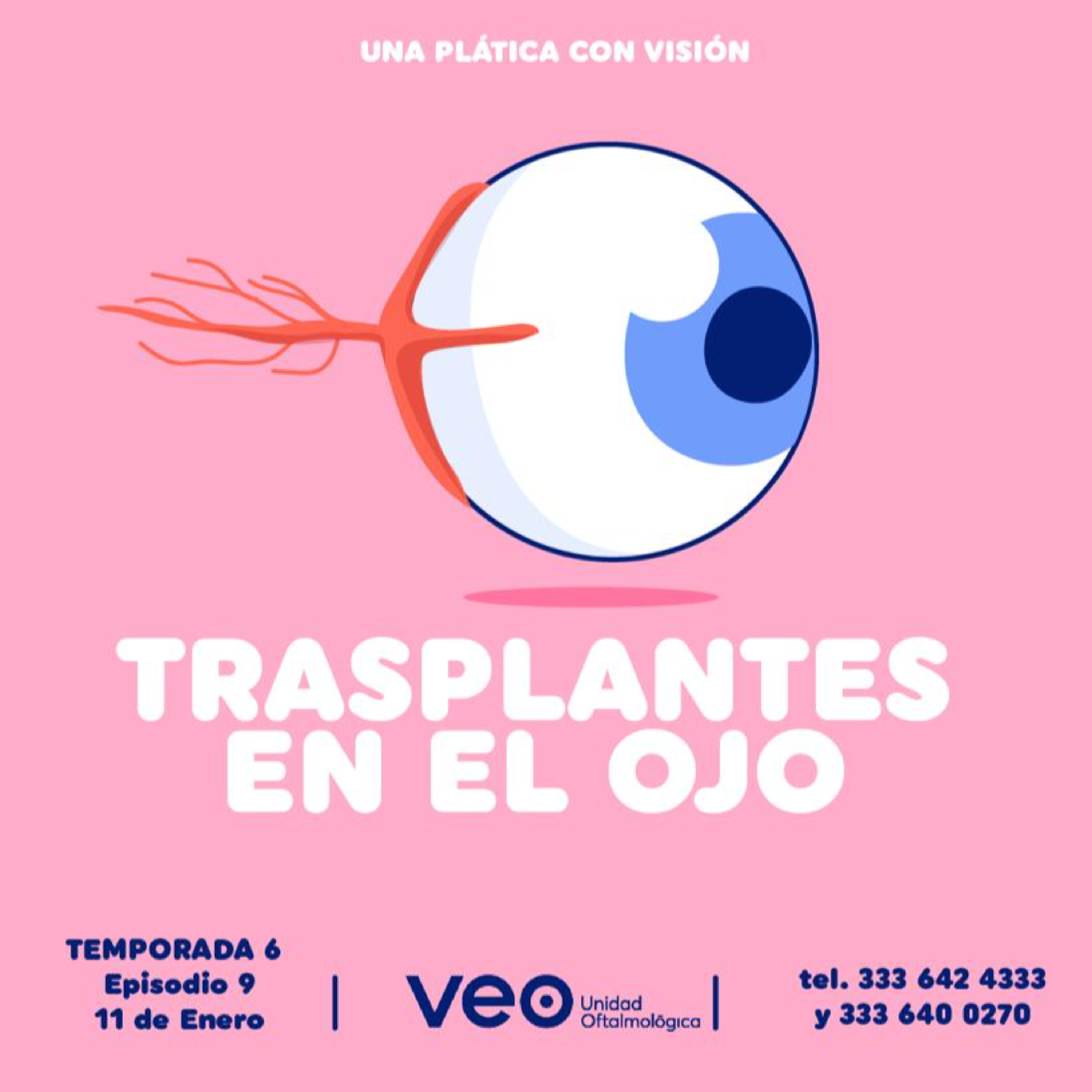 Trasplantes en el ojo episode artwork