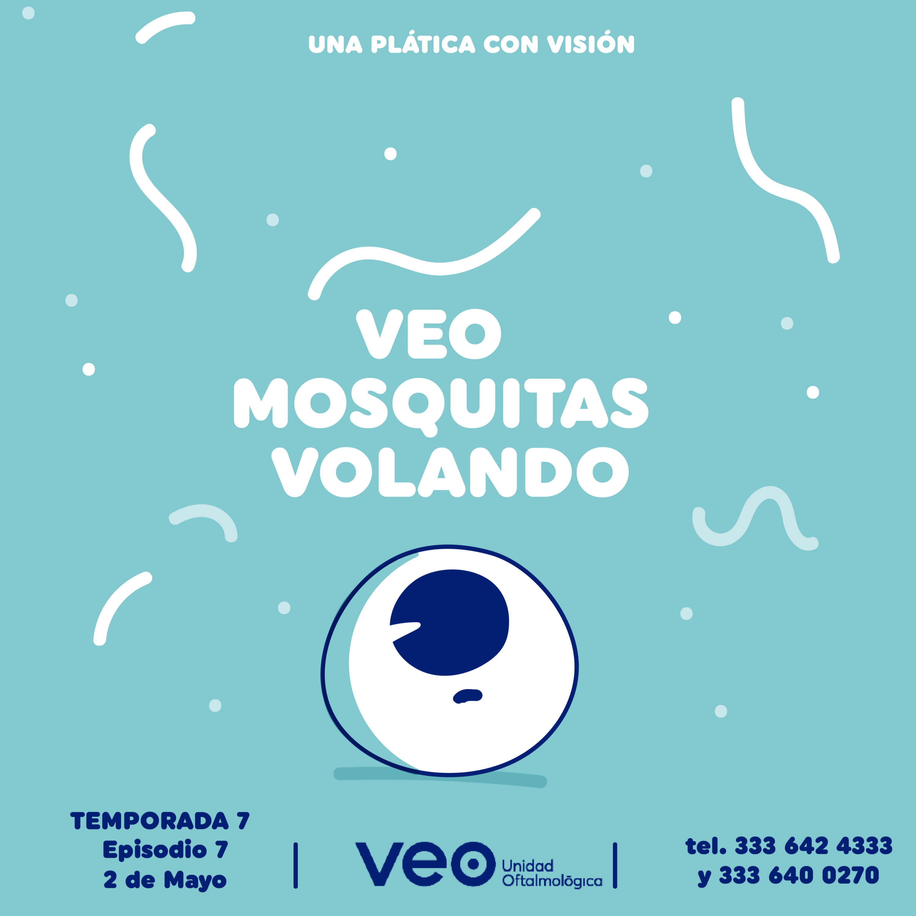Veo mosquitas volando episode artwork