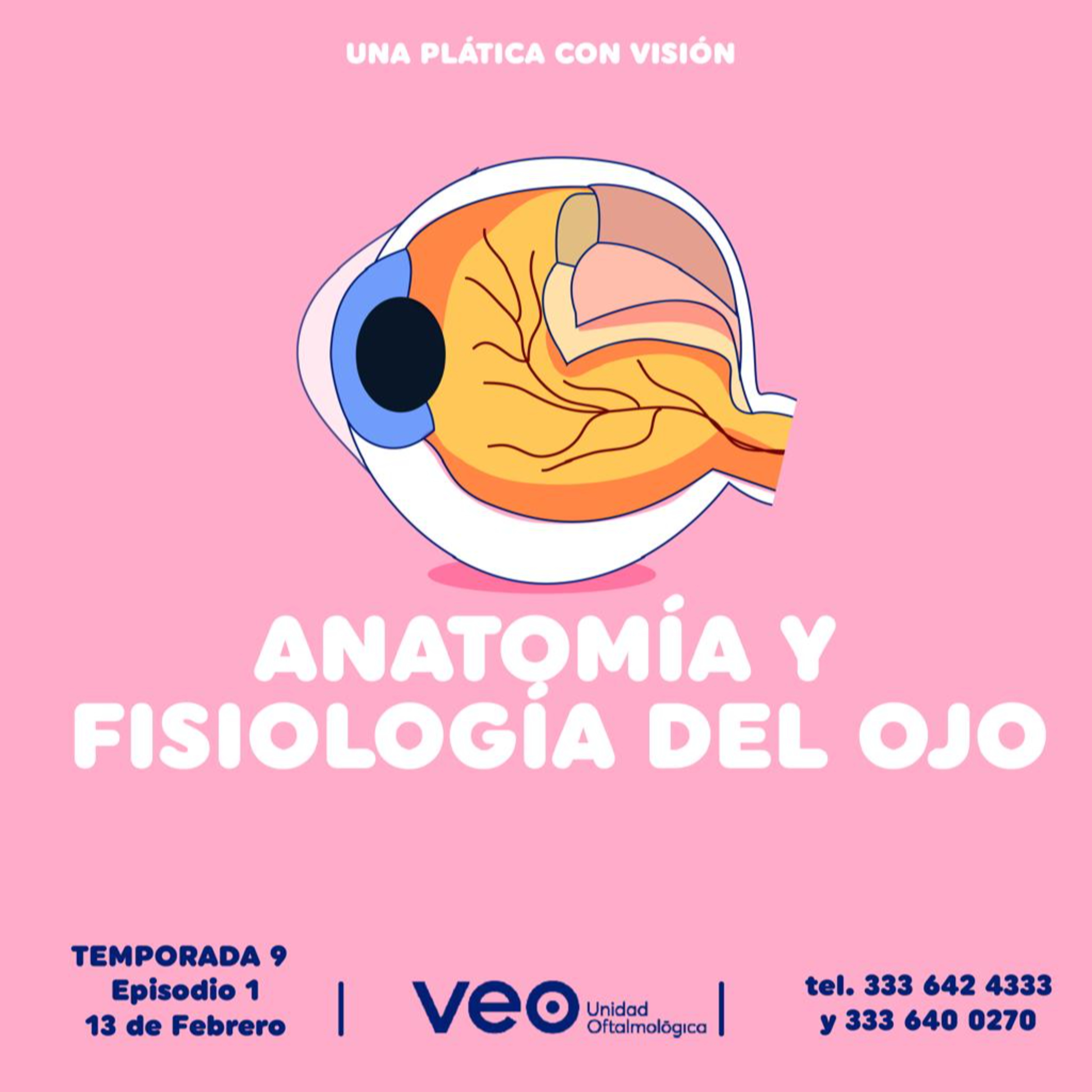 Anatomía y fisiología del ojo episode artwork