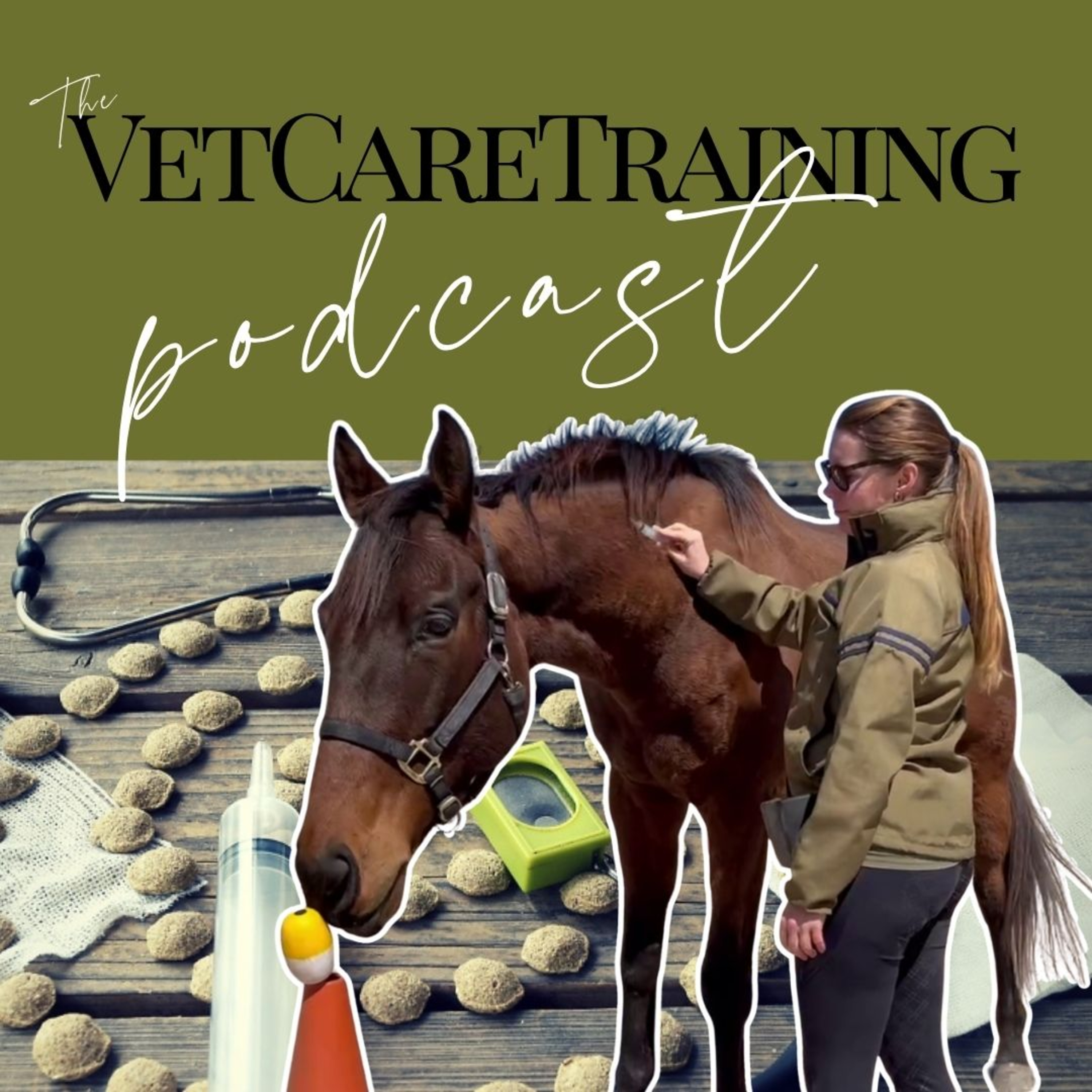 Intro: Welcome to the VetCareTraining Podcast episode artwork