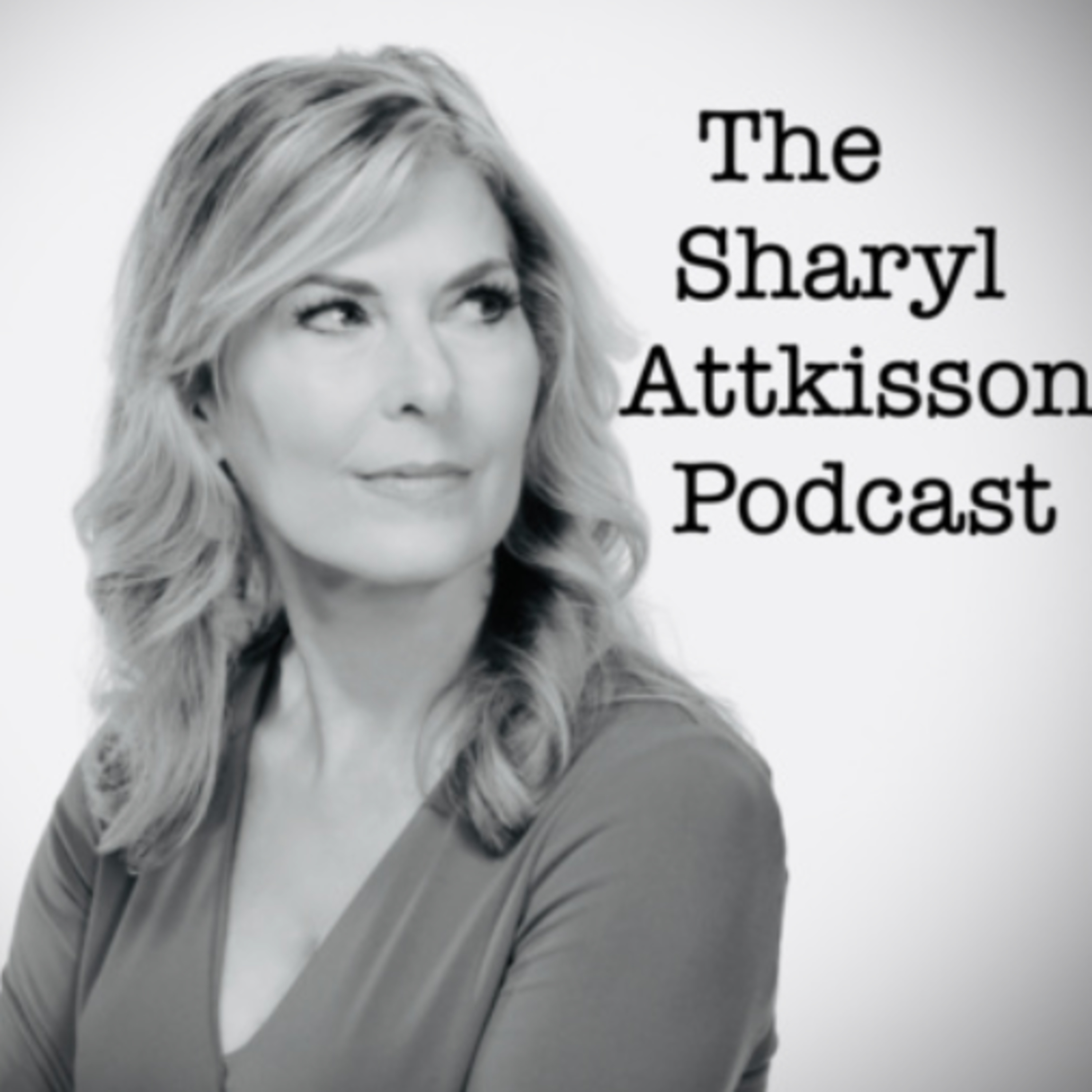 312. Stolen Election: Ralph Pezzullo and Gary Berntsen