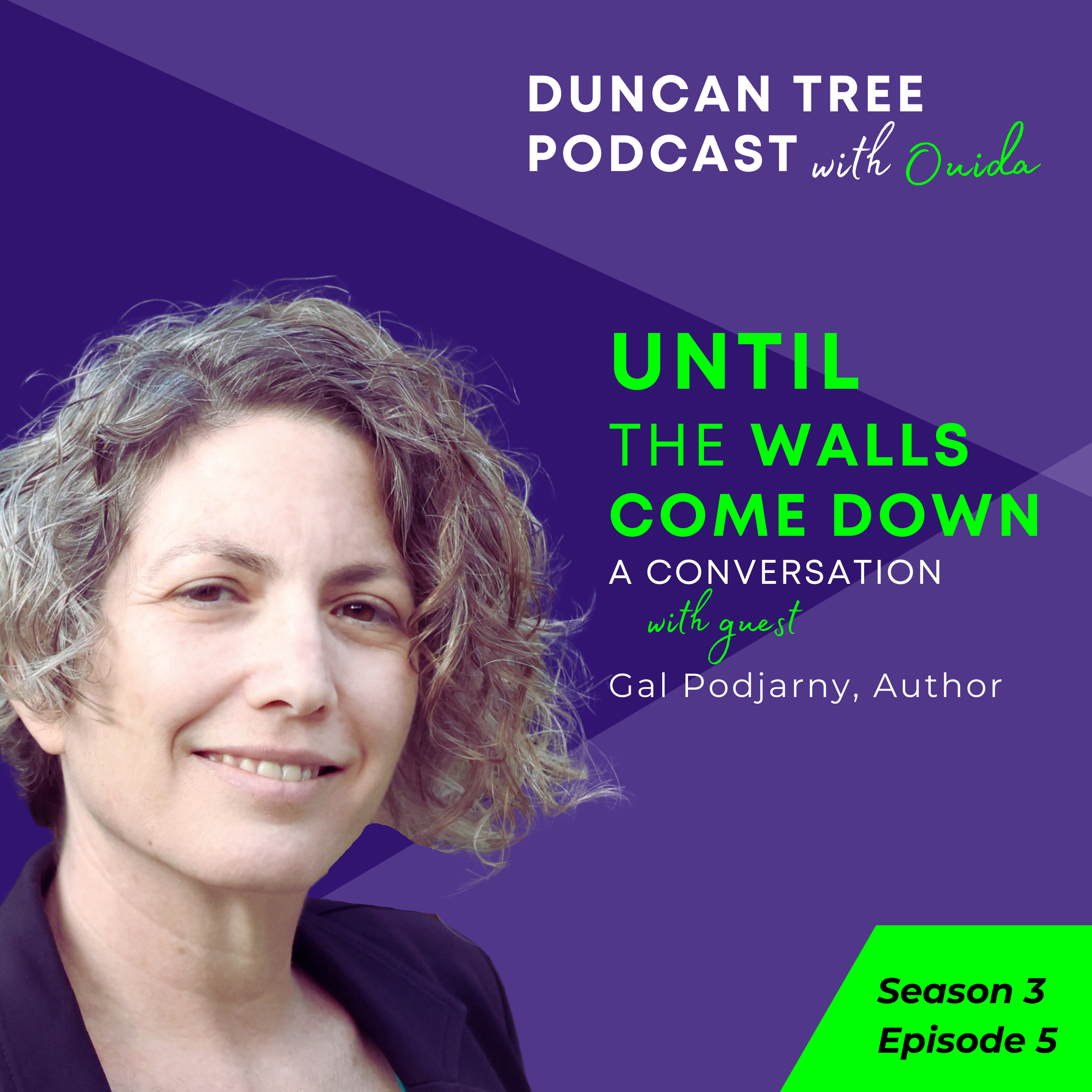 Until the Walls Come Down - A Conversation with Author Gal Podjarny episode artwork