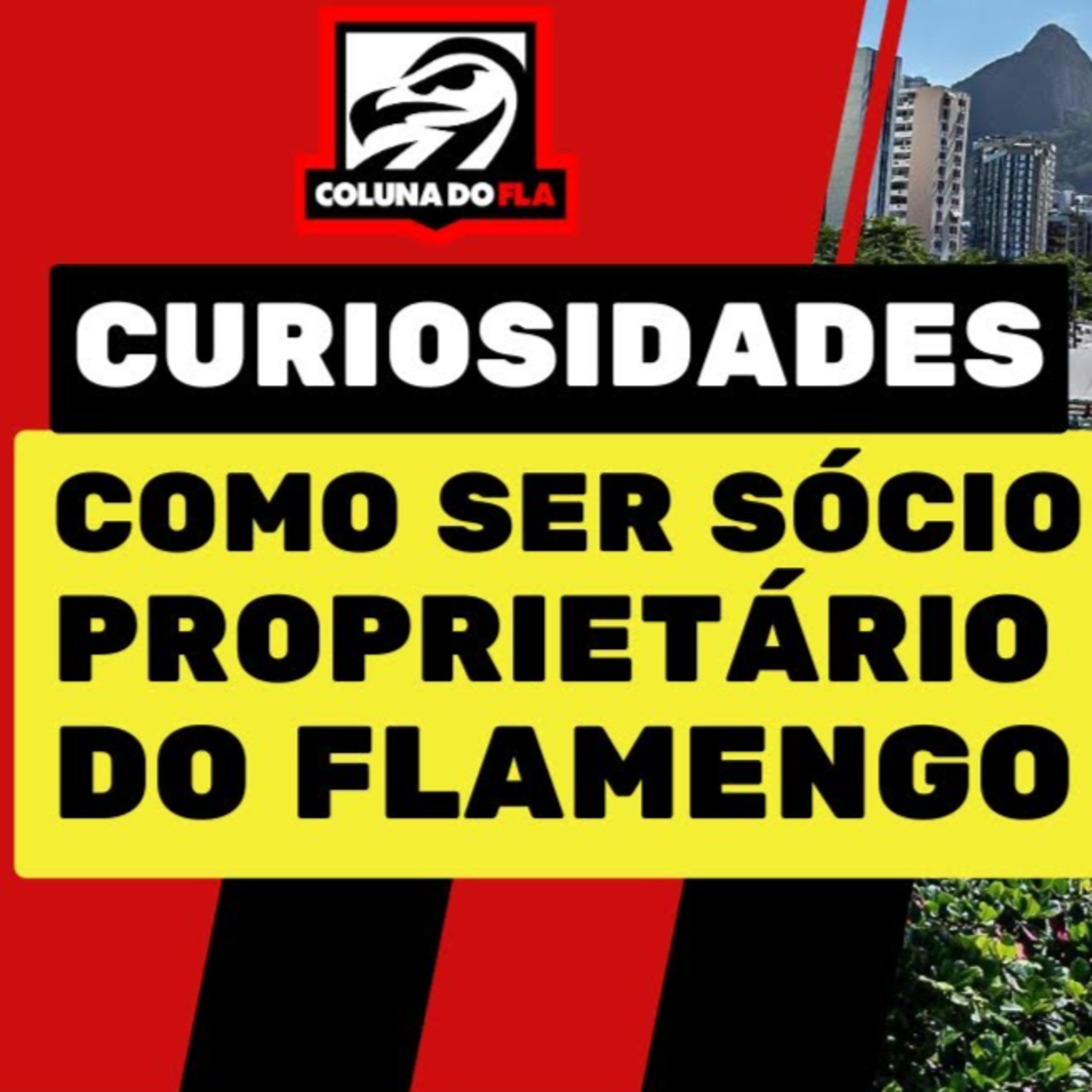 Canal Ser Flamengo