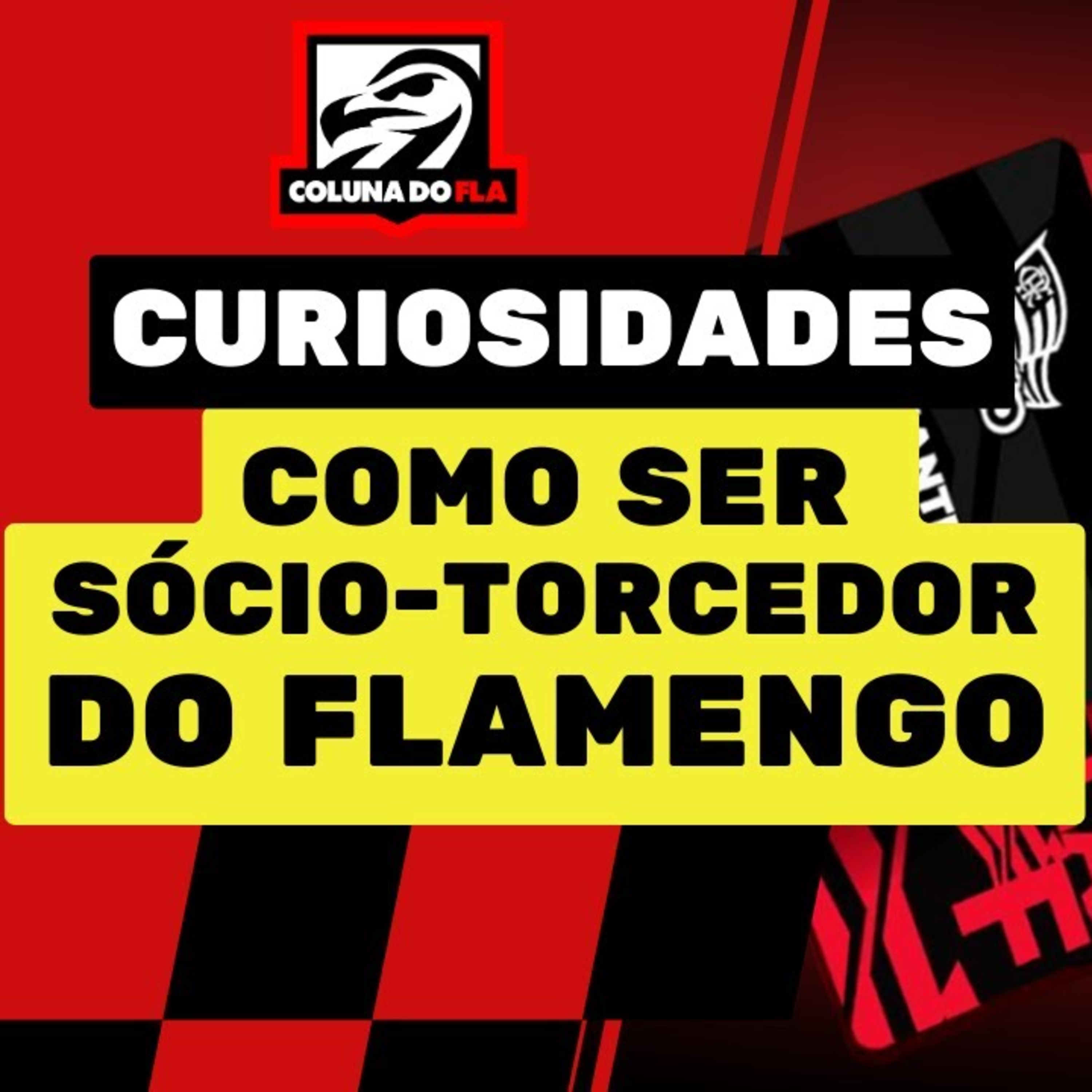 Canal Ser Flamengo