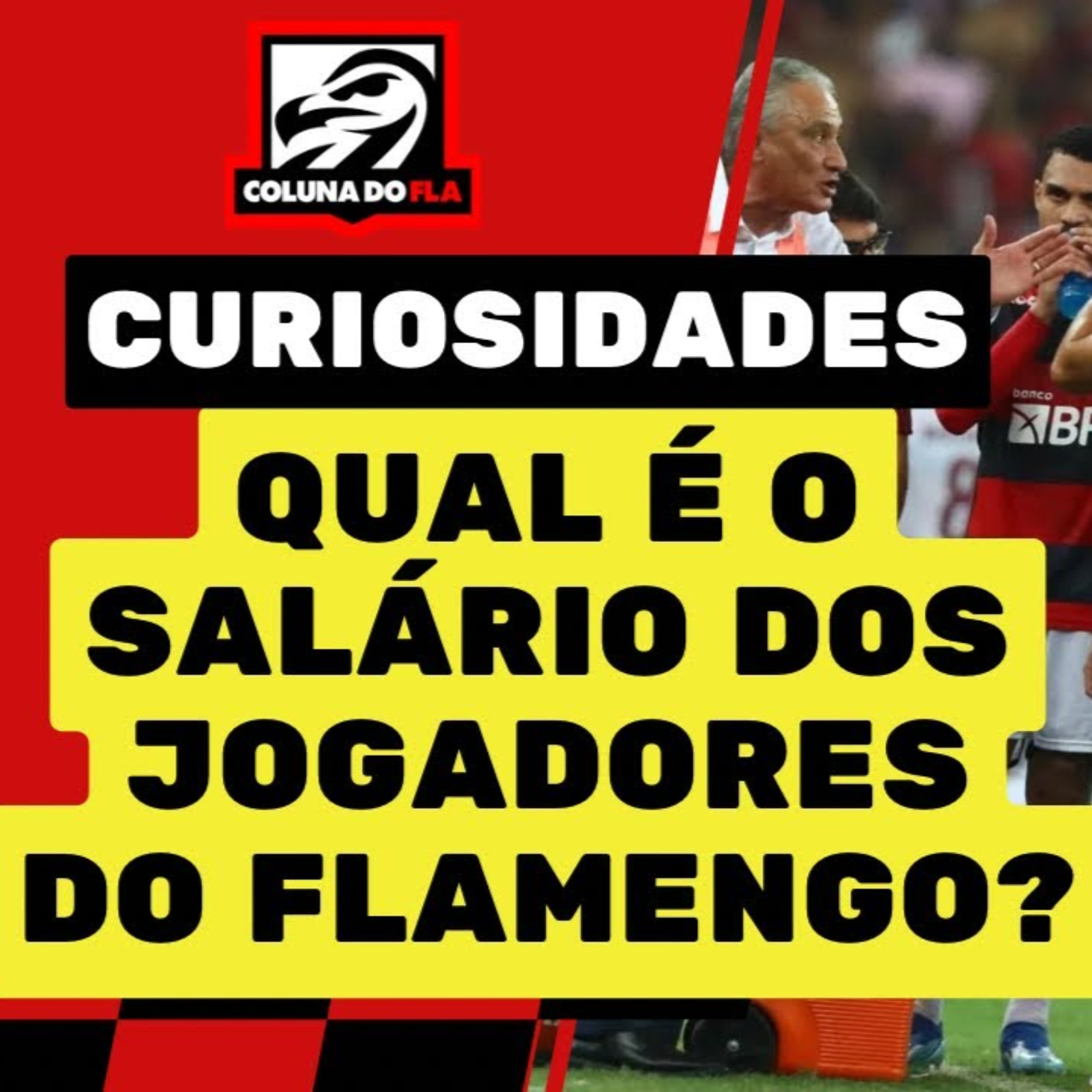 Canal Ser Flamengo