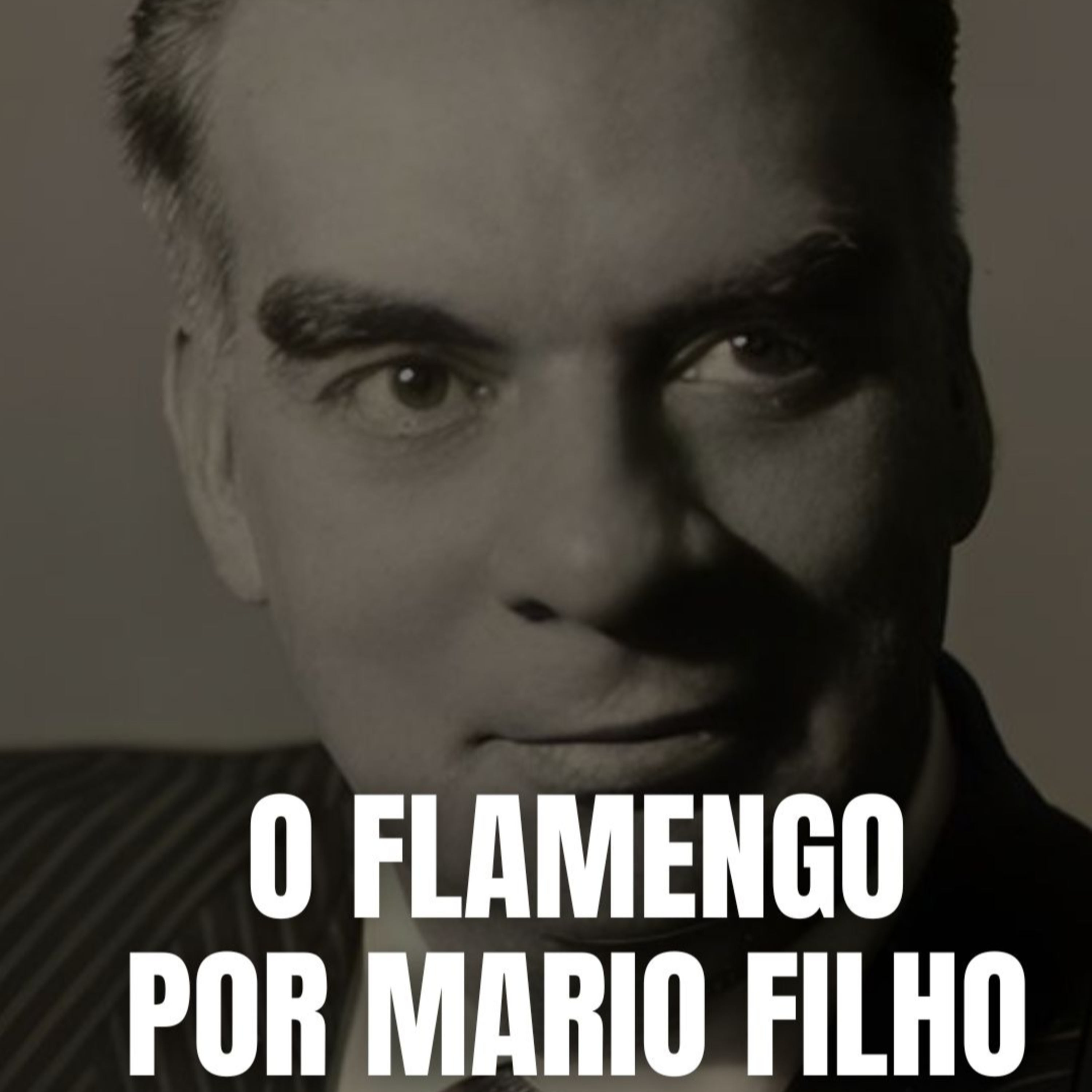 Canal Ser Flamengo