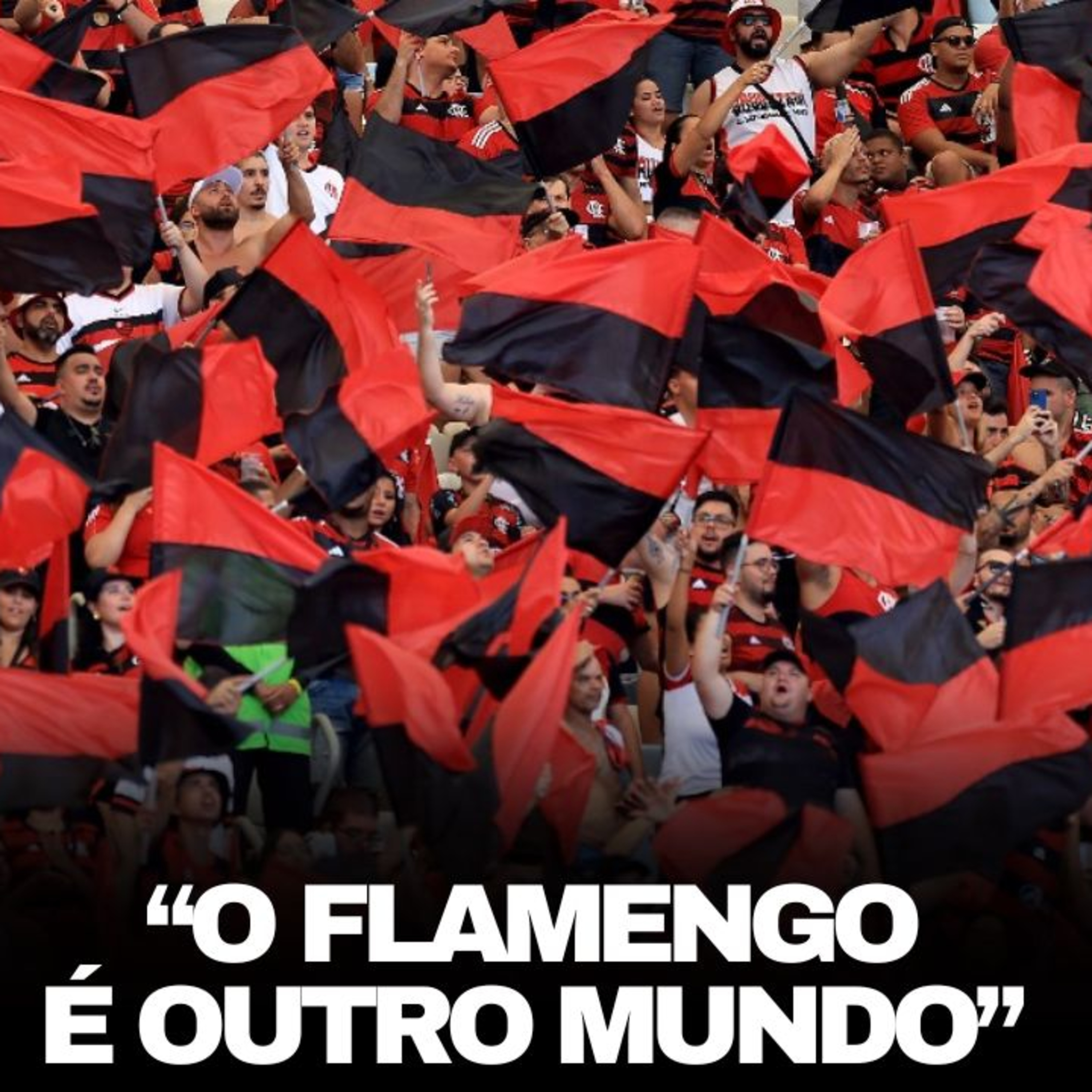 Canal Ser Flamengo