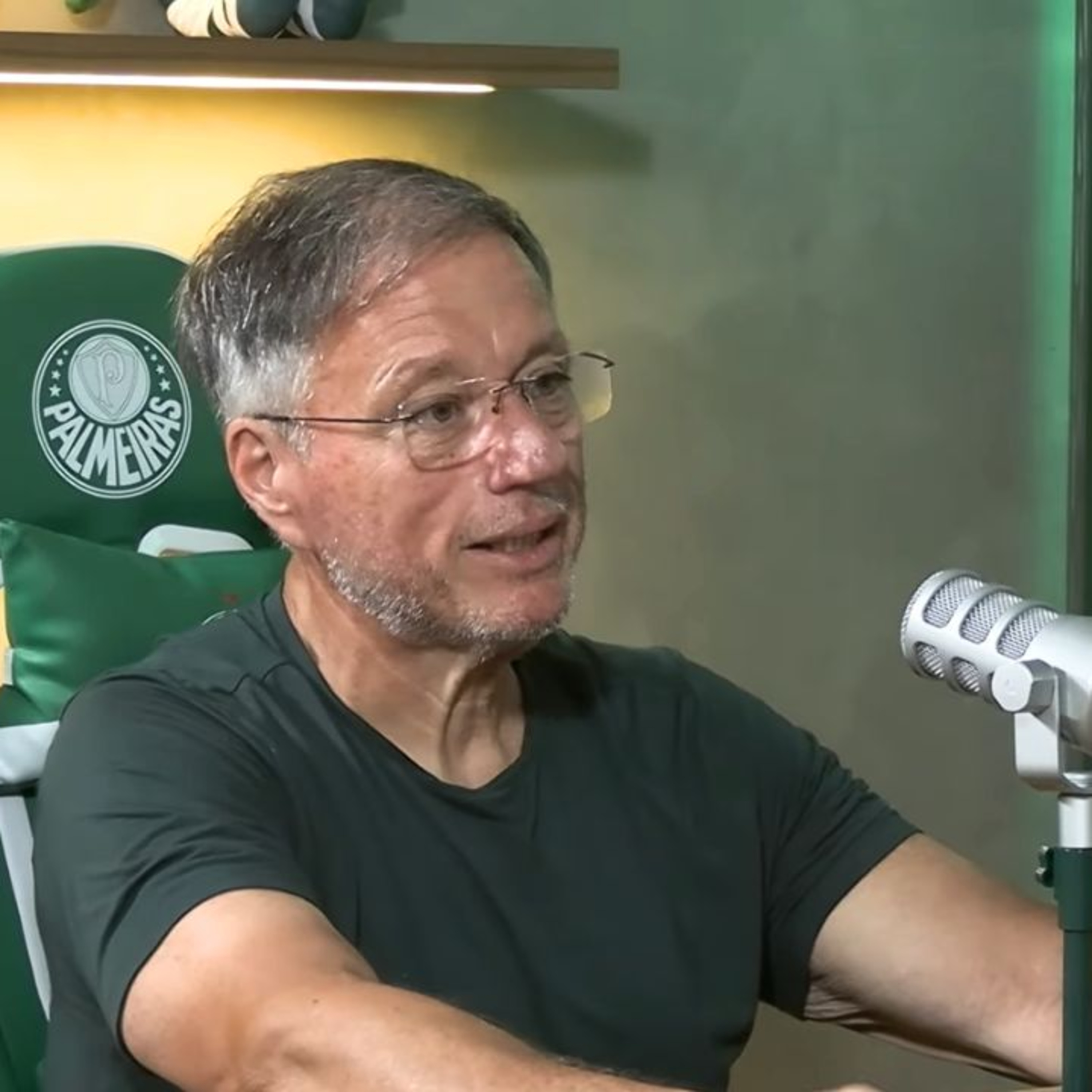 PALMEIRAS CRIA NARRATIVA? O CASO DO GOL ANULADO E A PRESSÃO NA ARBITRAGEM PARA JOGOS FUTUROS episode artwork