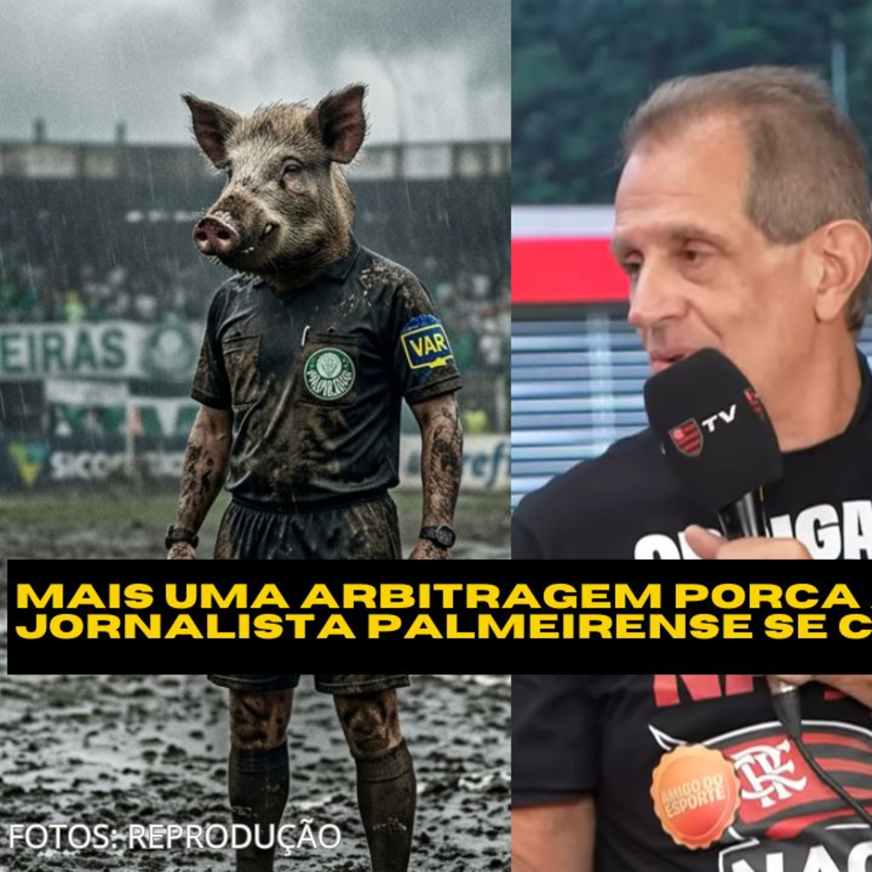 ARBITRAGEM PORCA PRO PALMEIRAS, MANIFESTAÇÃO DE TORCEDORES E JORNALISTA PALMEIRENSE SE CONTRADIZ episode artwork
