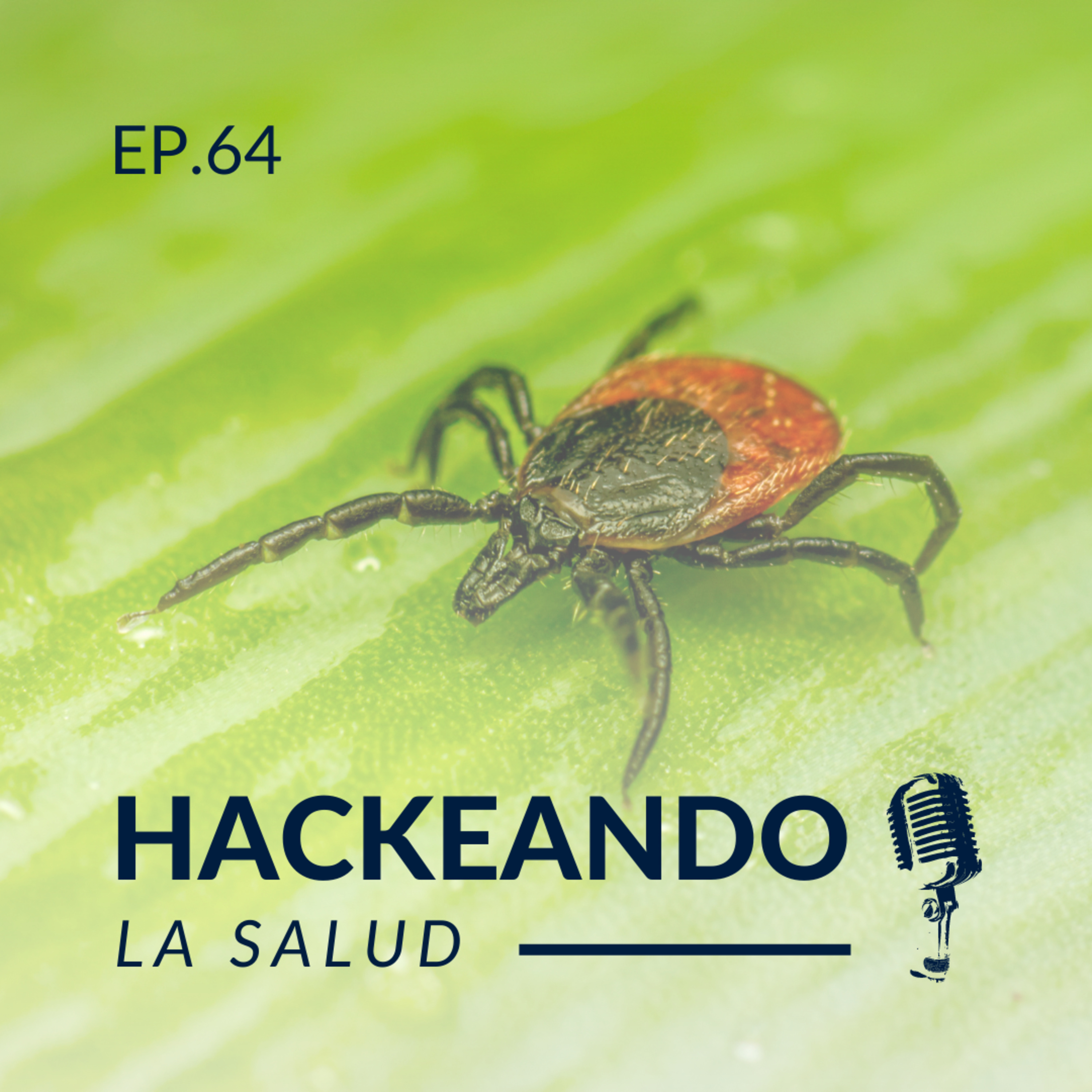 Hackeando la salud