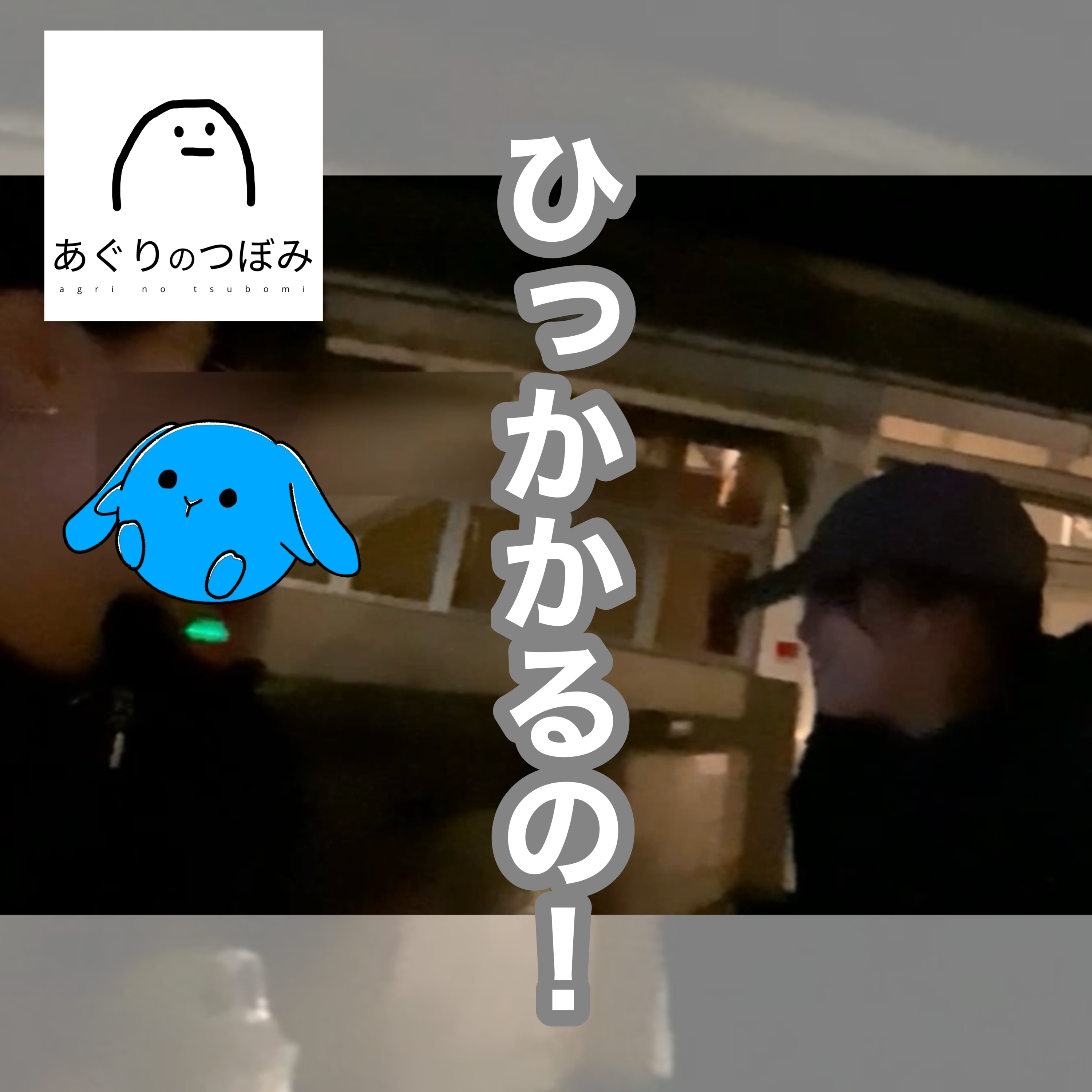 #140 【ゆる雑談】散歩してアイス食べて作業着とかの話 episode artwork