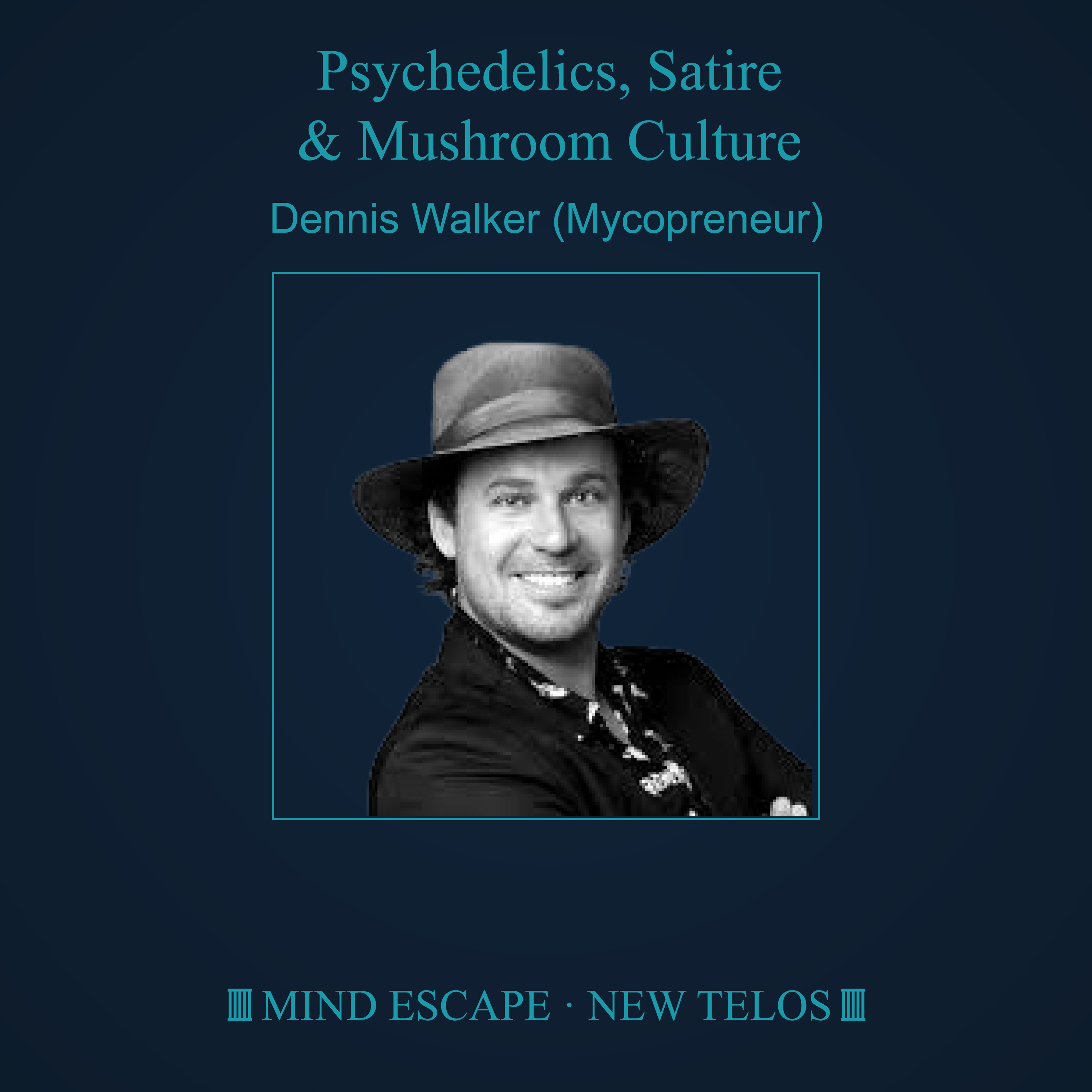Dennis Walker (Mycopreneur): Psychedelics, Satire & Mushroom Culture Episode #328