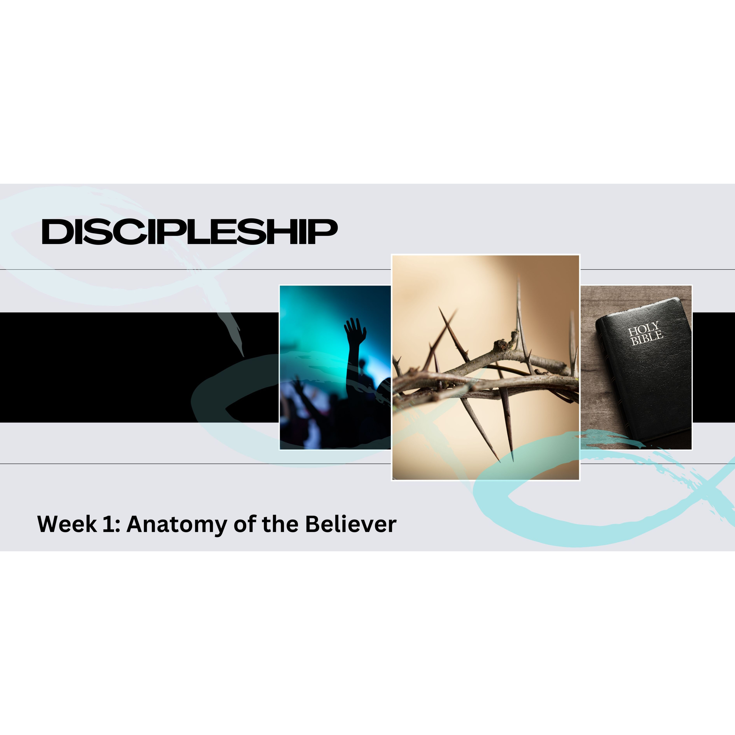 Peter Hartley - 07/07/24 - “DISCIPLESHIP - Week 1: Anatomy Of The Believer” episode artwork