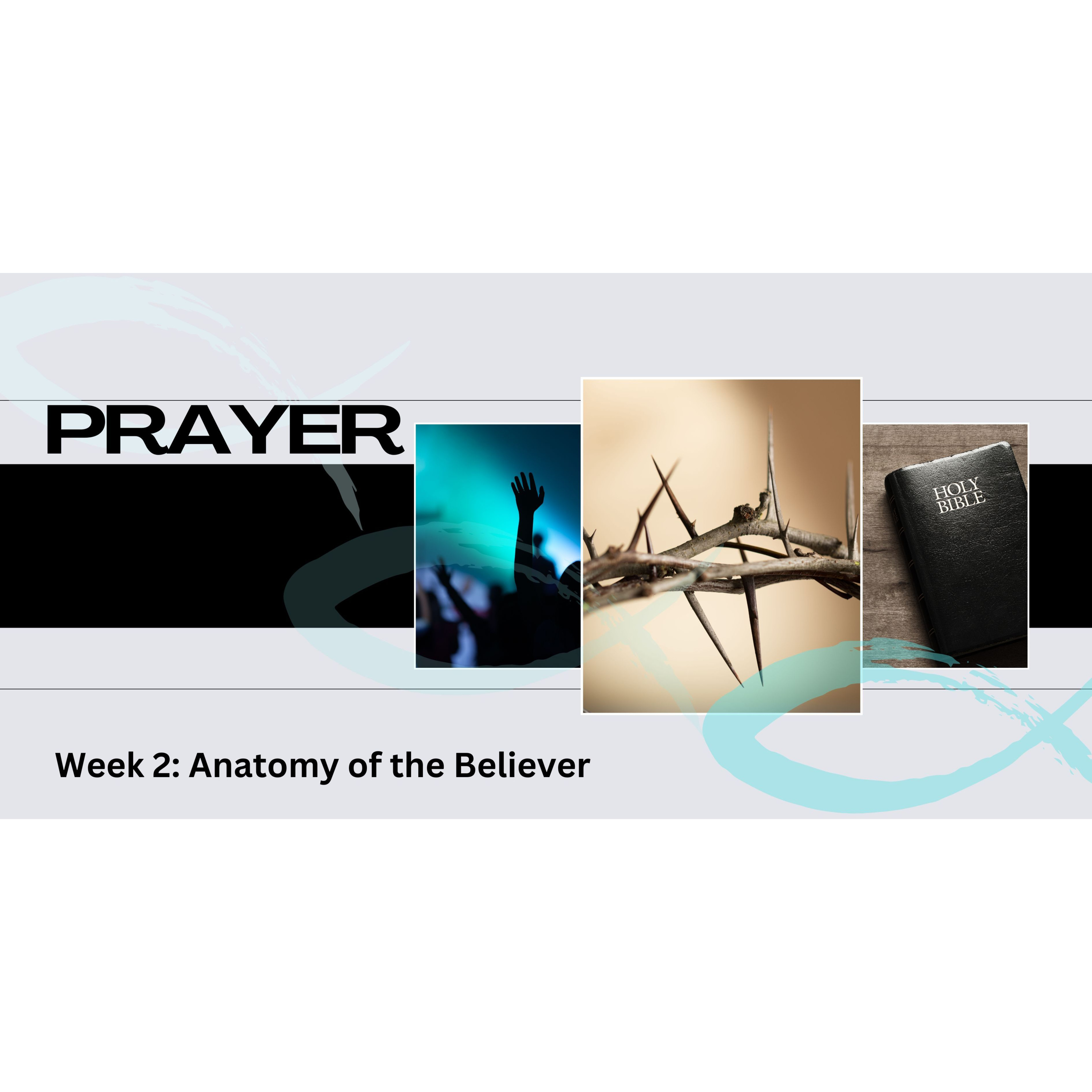 Peter Hartley - 14/07/24 - “PRAYER - Week 2: Anatomy Of The Believer” episode artwork