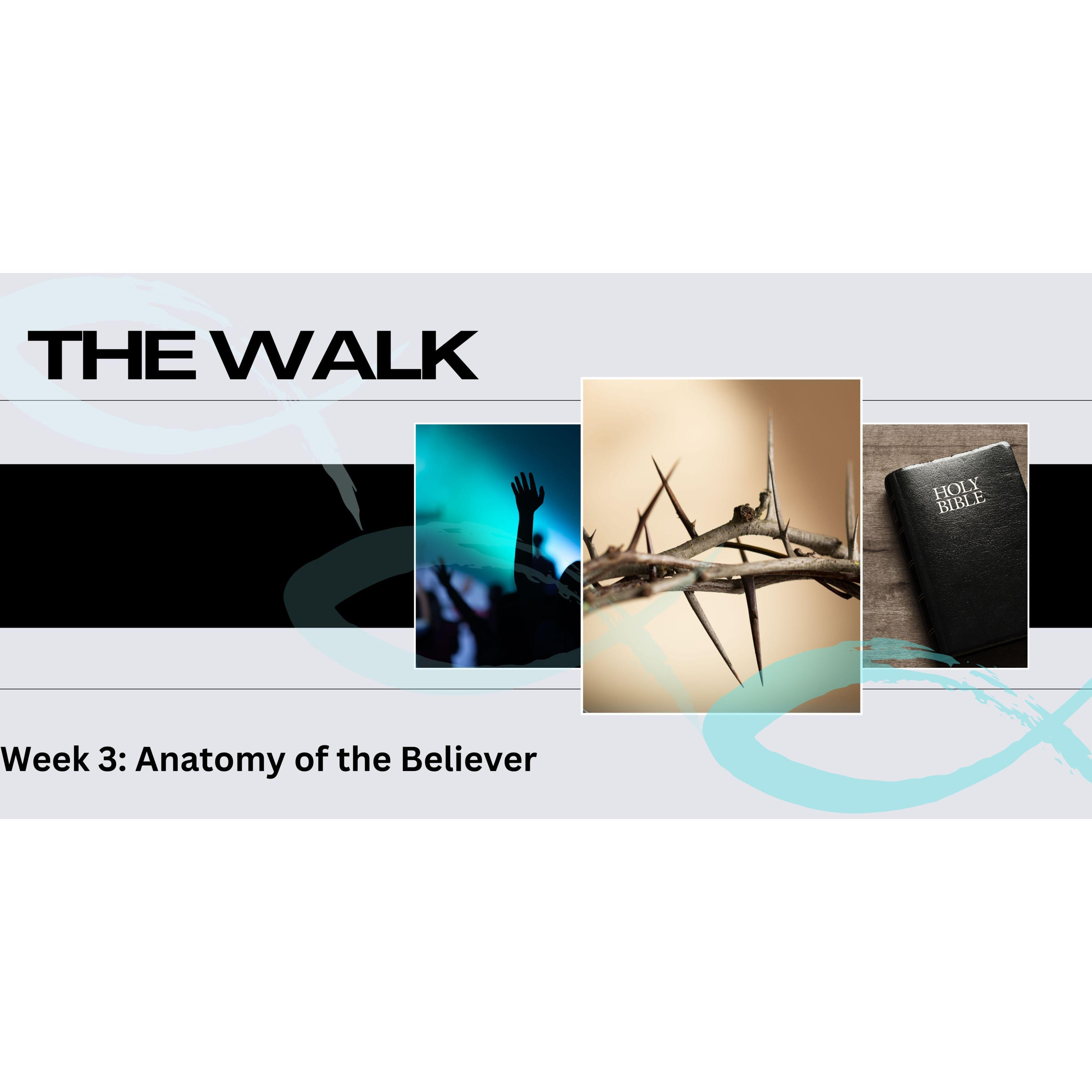 Peter Hartley - 21/07/24 - “THE WALK - Week 3: Anatomy Of The Believer” episode artwork