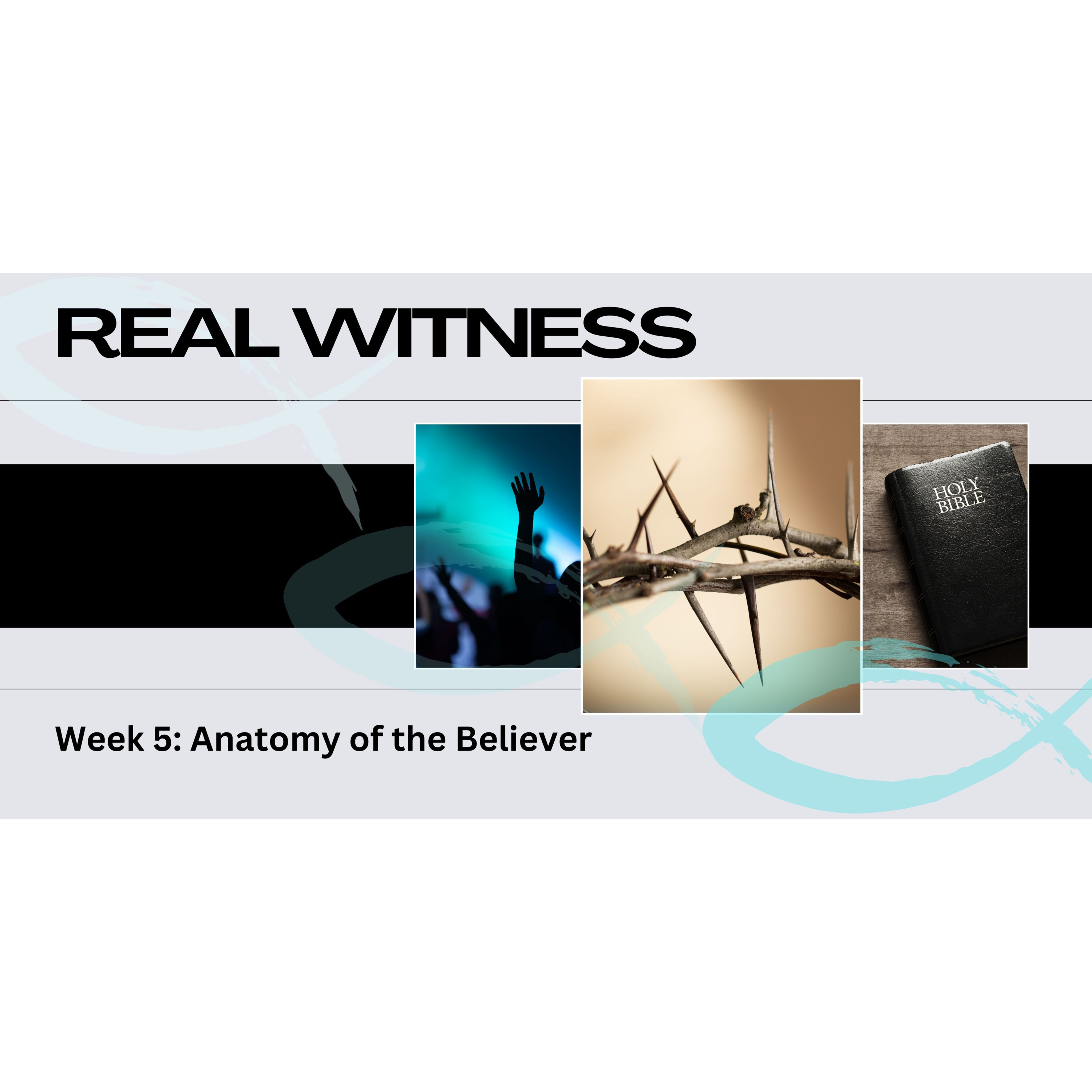 Peter Hartley - 04/08/24 - “REAL WITNESS - Week 5: Anatomy Of The Believer” episode artwork