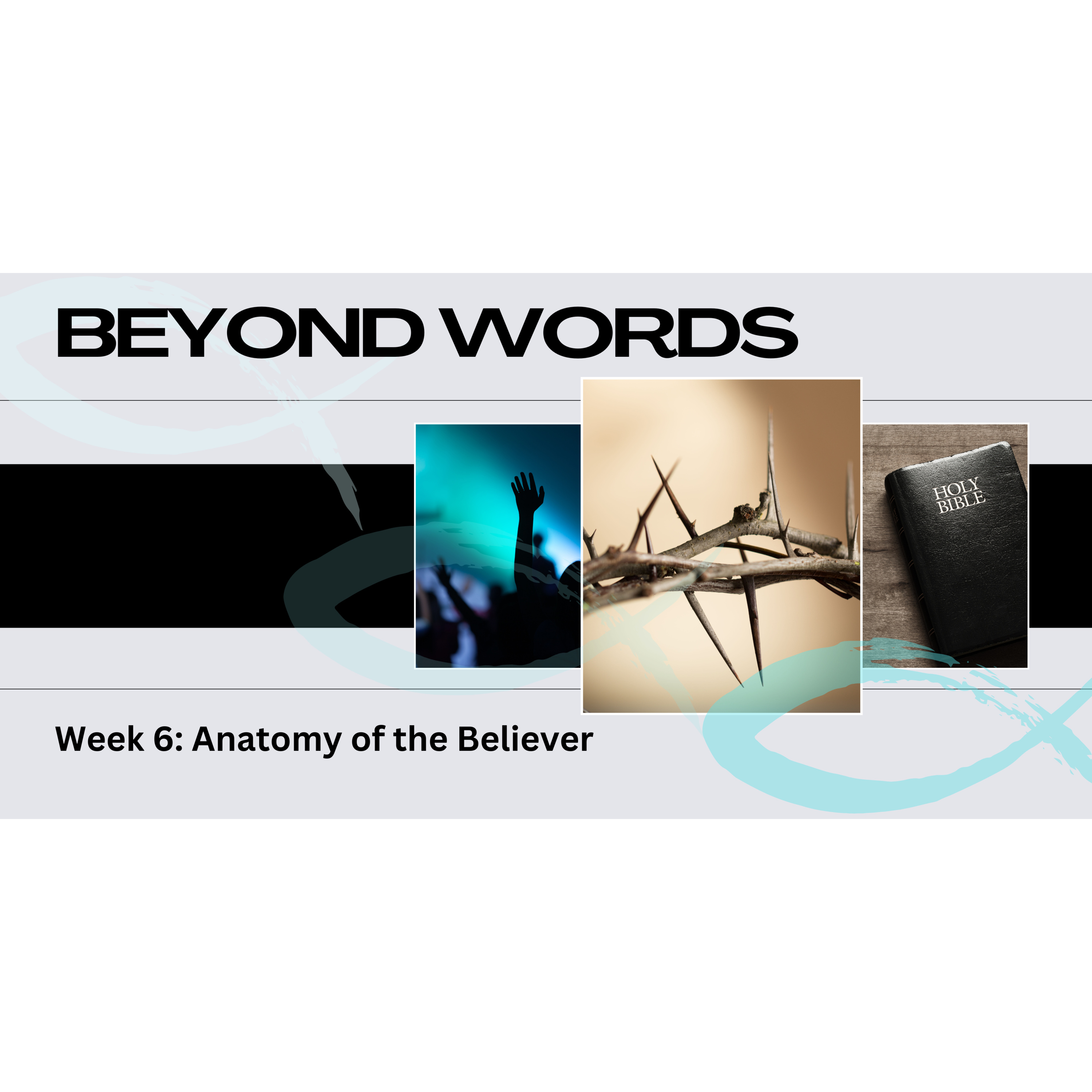 Peter Hartley - 11/08/24 - “BEYOND WORDS - Week 6: Anatomy Of The Believer” episode artwork
