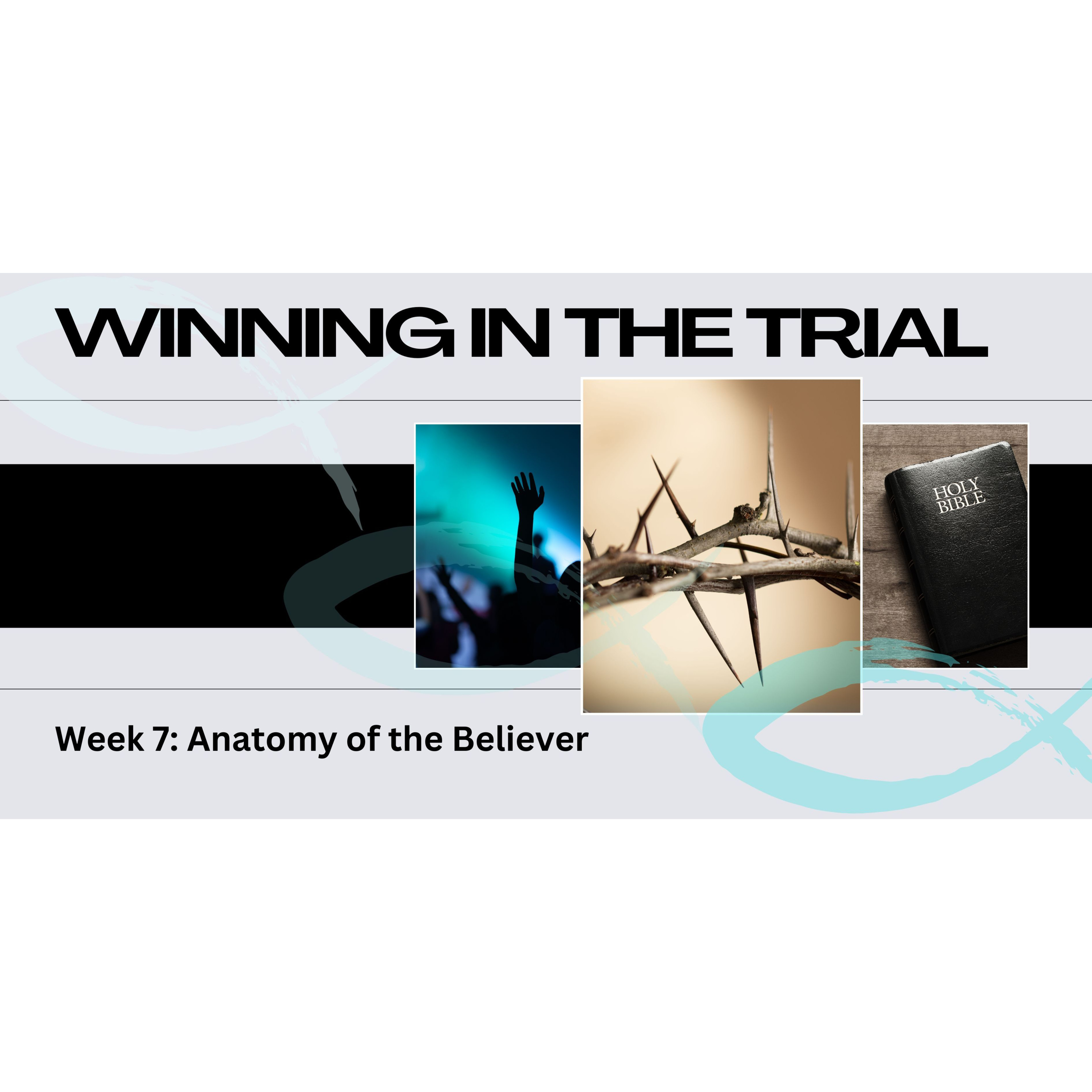 Peter Hartley - 08/09/24 - “WINNING IN THE TRIAL - Week 7: Anatomy Of The Believer” episode artwork