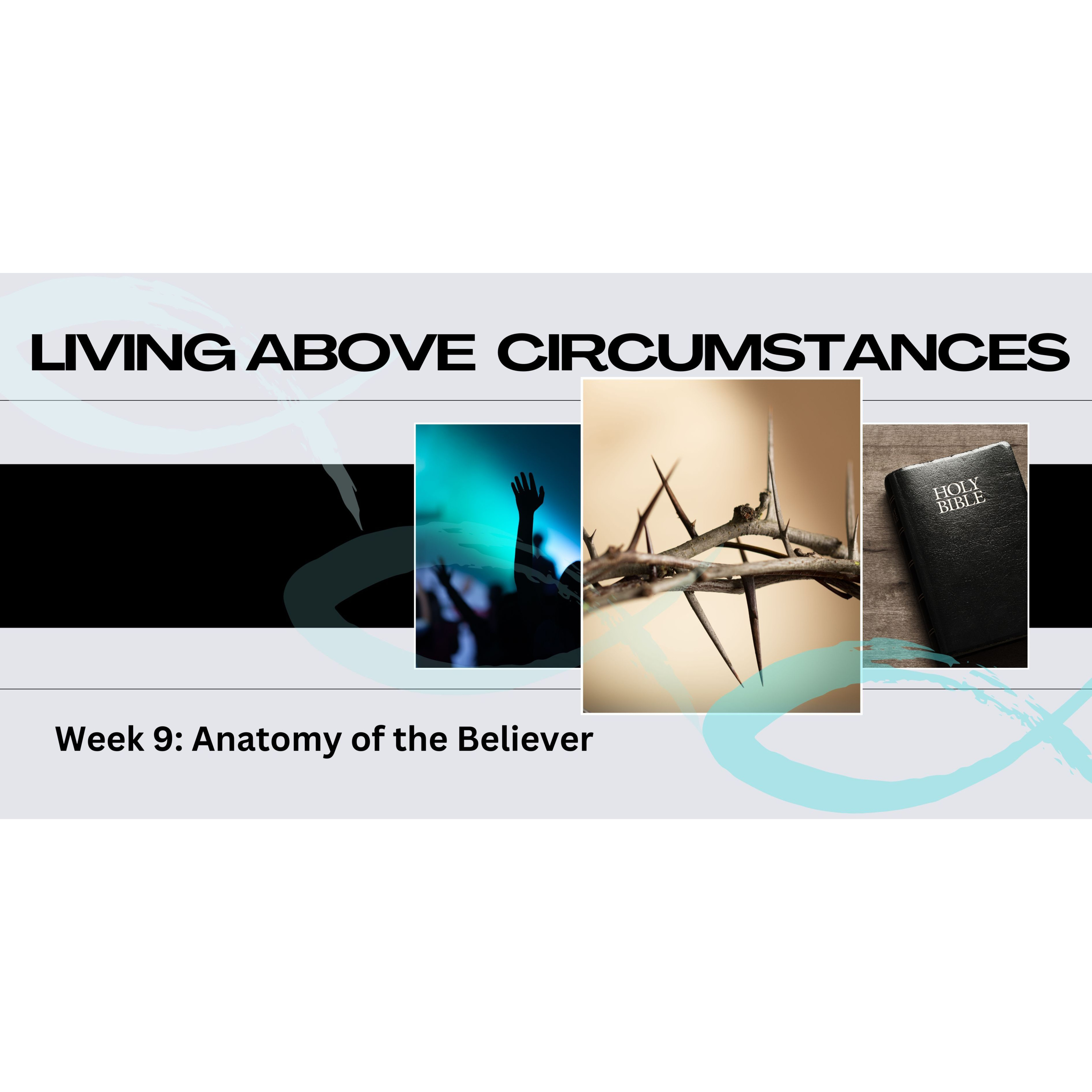 Peter Hartley - 29/09/24 - “LIVING ABOVE CIRCUMSTANCES - Week 9: Anatomy Of The Believer” episode artwork