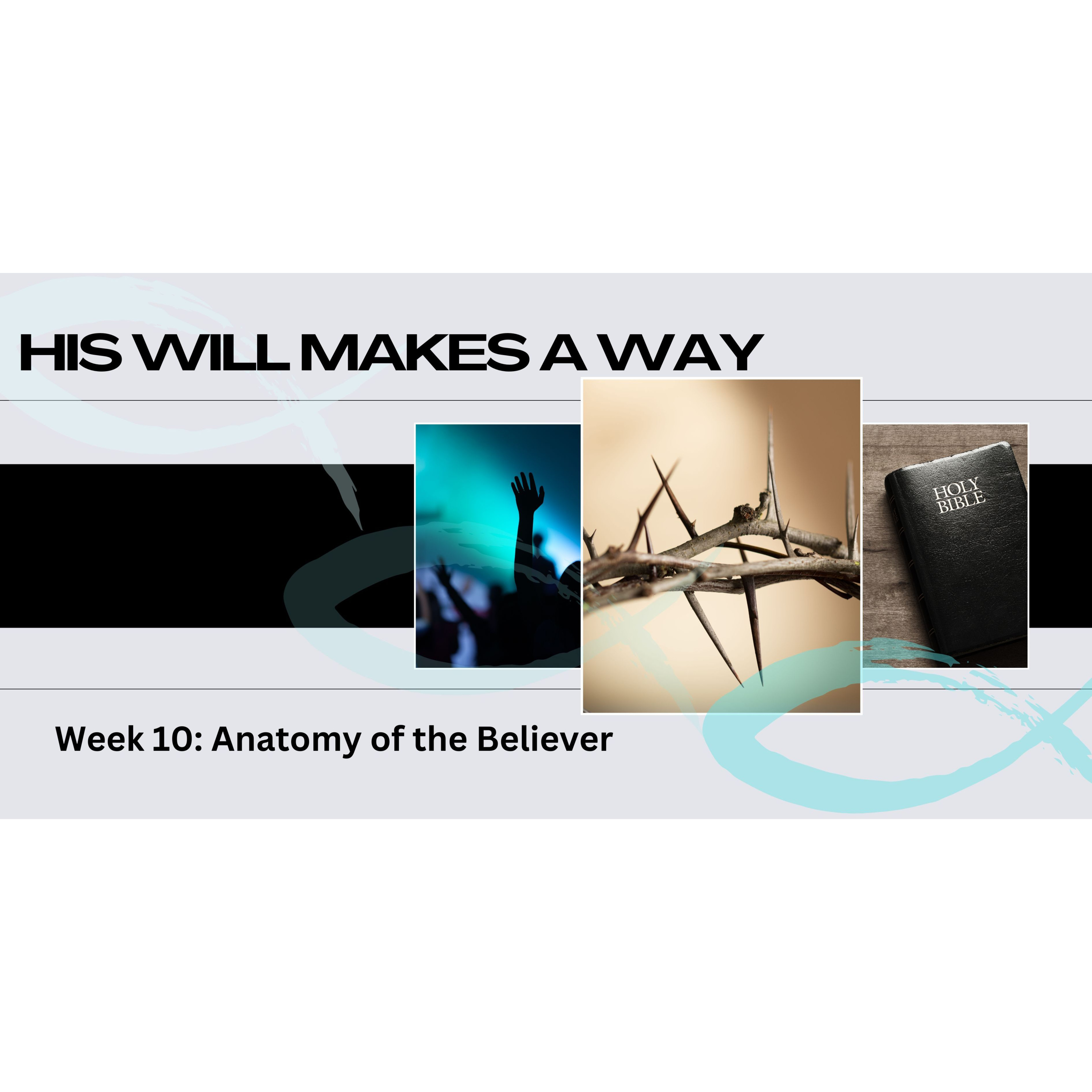 Peter Hartley - 06/10/24 - “HIS WILL MAKES A WAY - Week 10: Anatomy Of The Believer” episode artwork