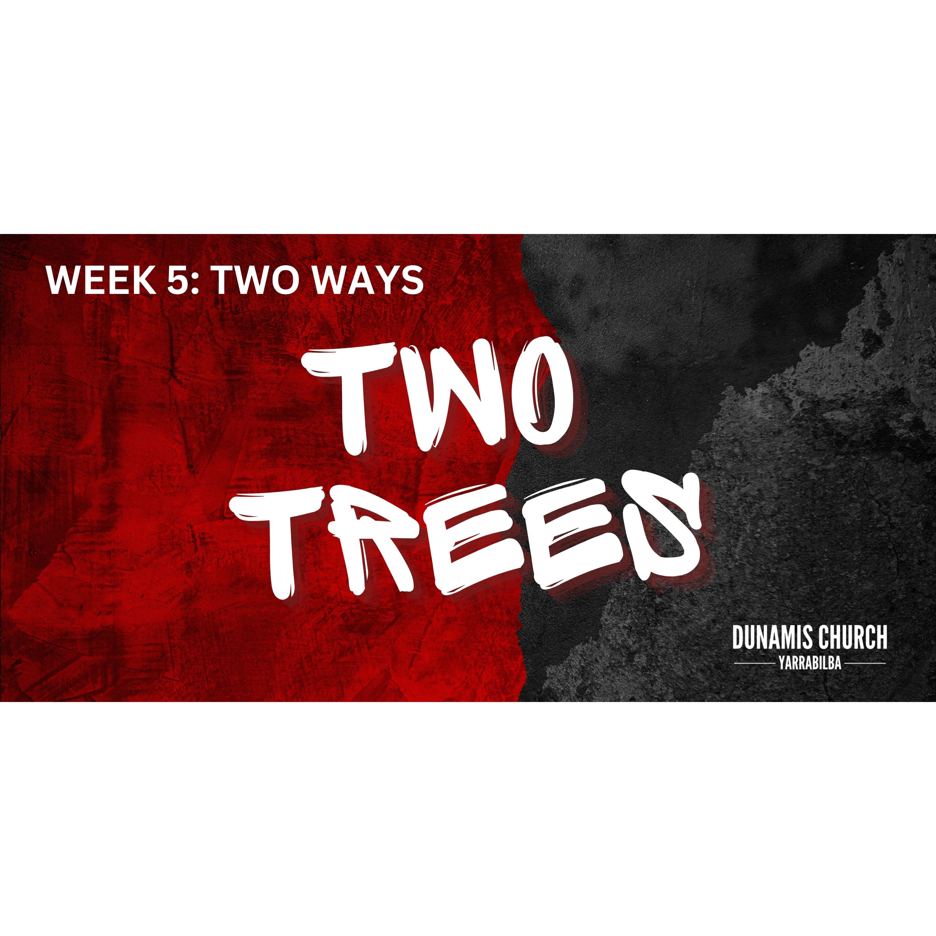 Peter Hartley - 10/11/24 - “TWO TREES - Week 5 - Two Ways” episode artwork