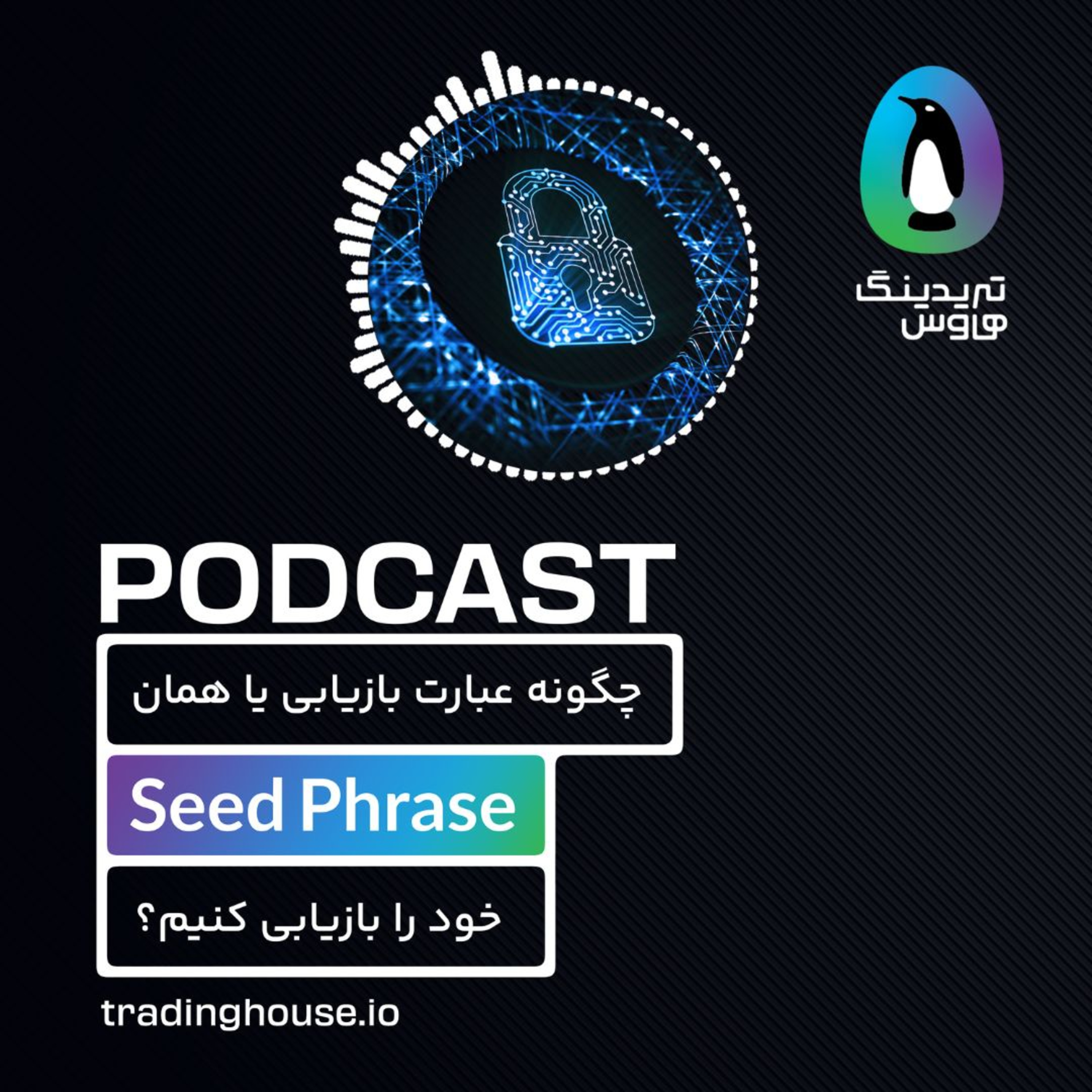چگونه عبارت بازیابی(Seed Phrase) خود را بازیابی کنیم؟ episode artwork