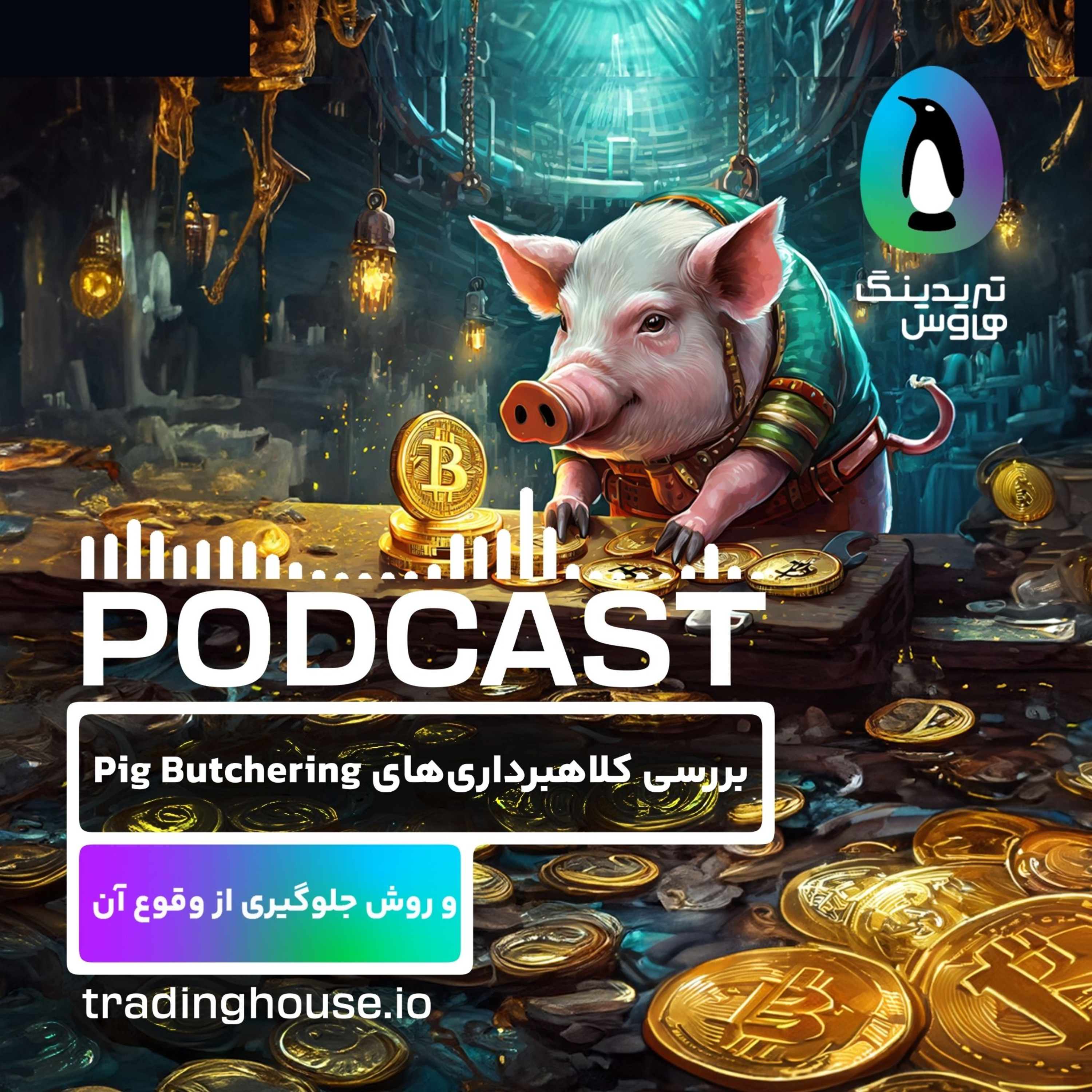 بررسی کلاهبرداری (پیگ بوچِرینگ) و روش جلوگیری از وقوع آن episode artwork