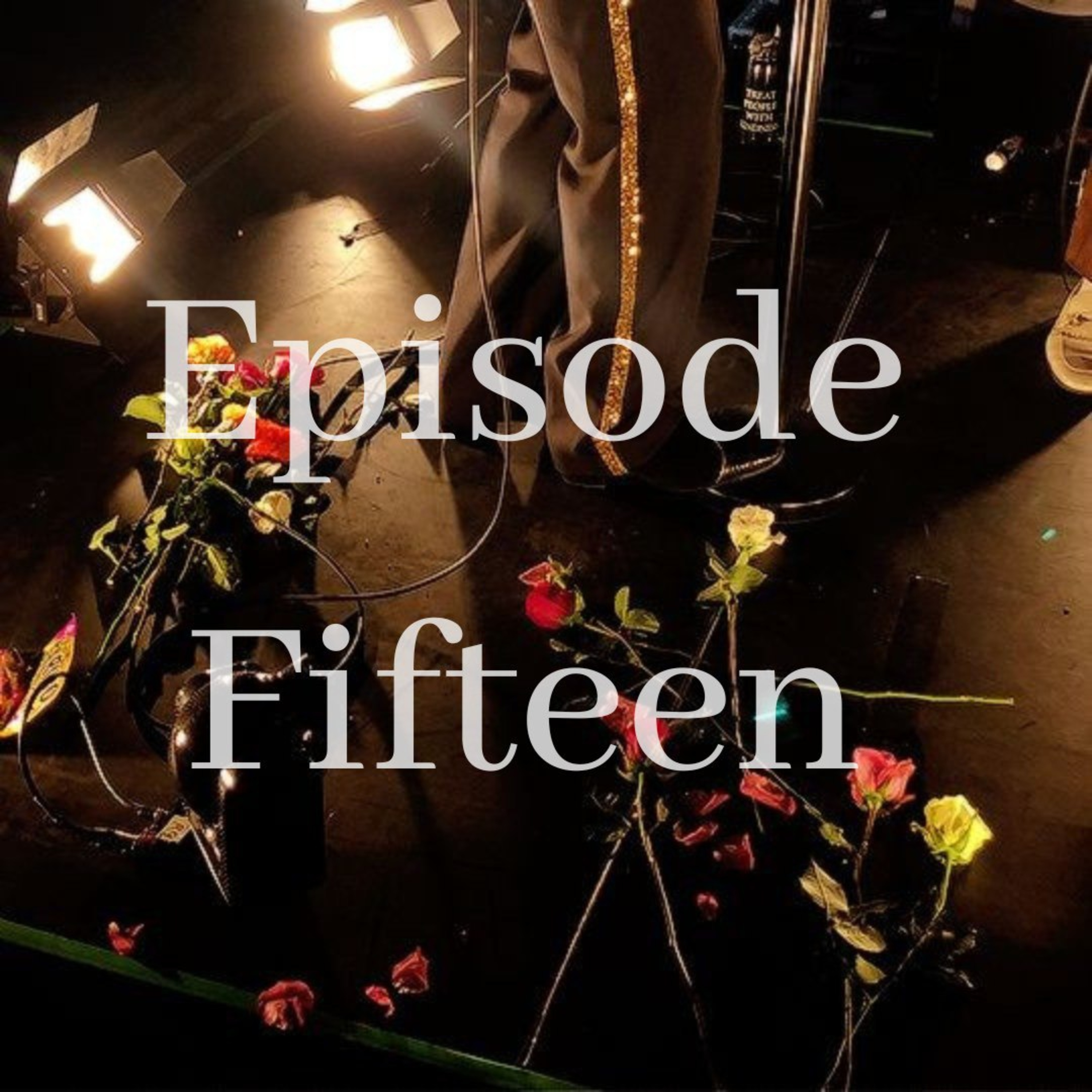 Episode 15 - The Positive Side Of The Fandom episode artwork