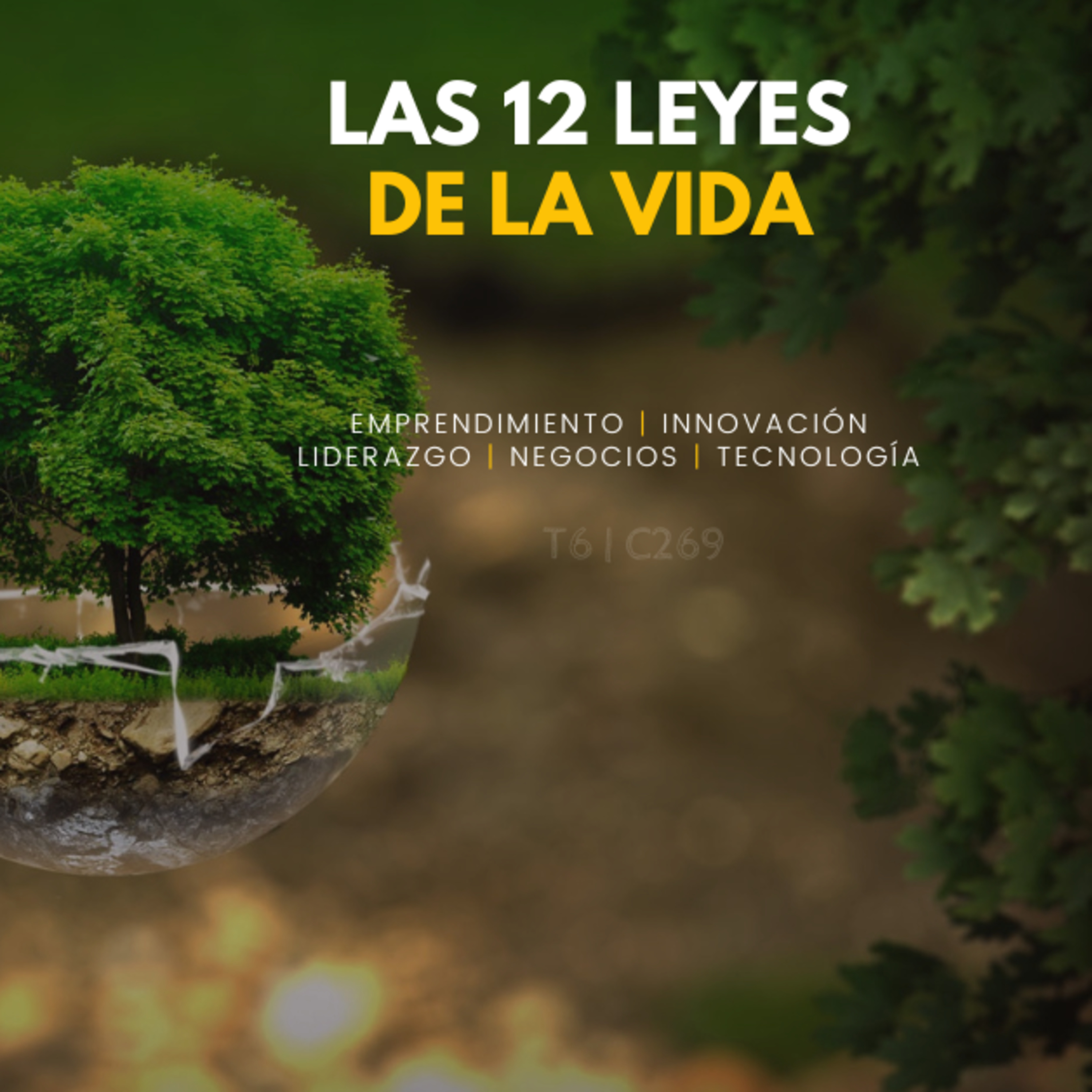 Portada de Creativos Radio