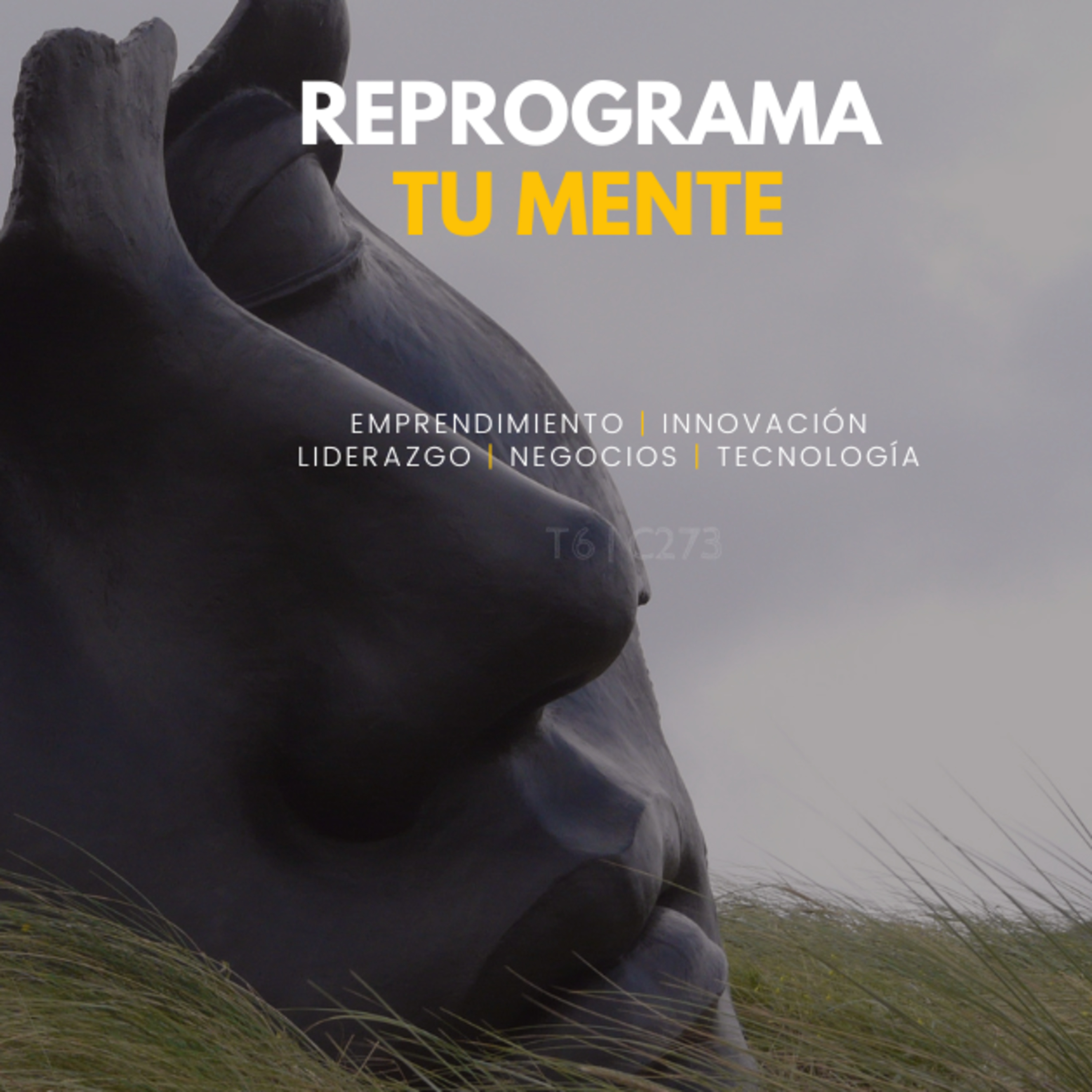 Portada de Creativos Radio