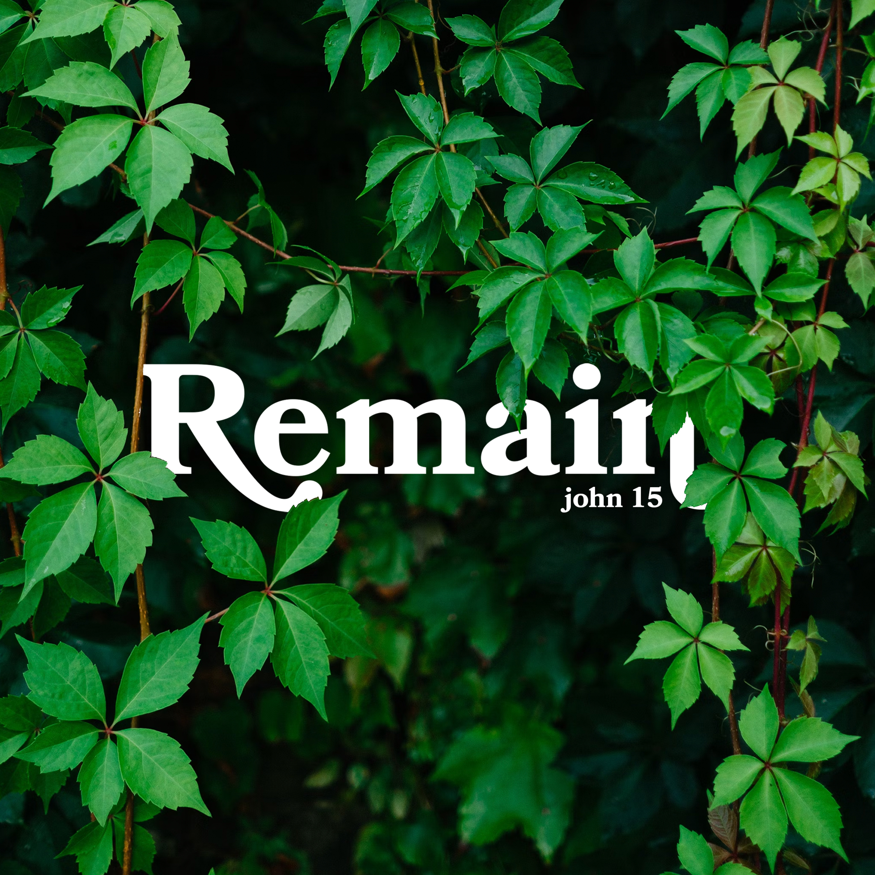 Remain (Week 5)