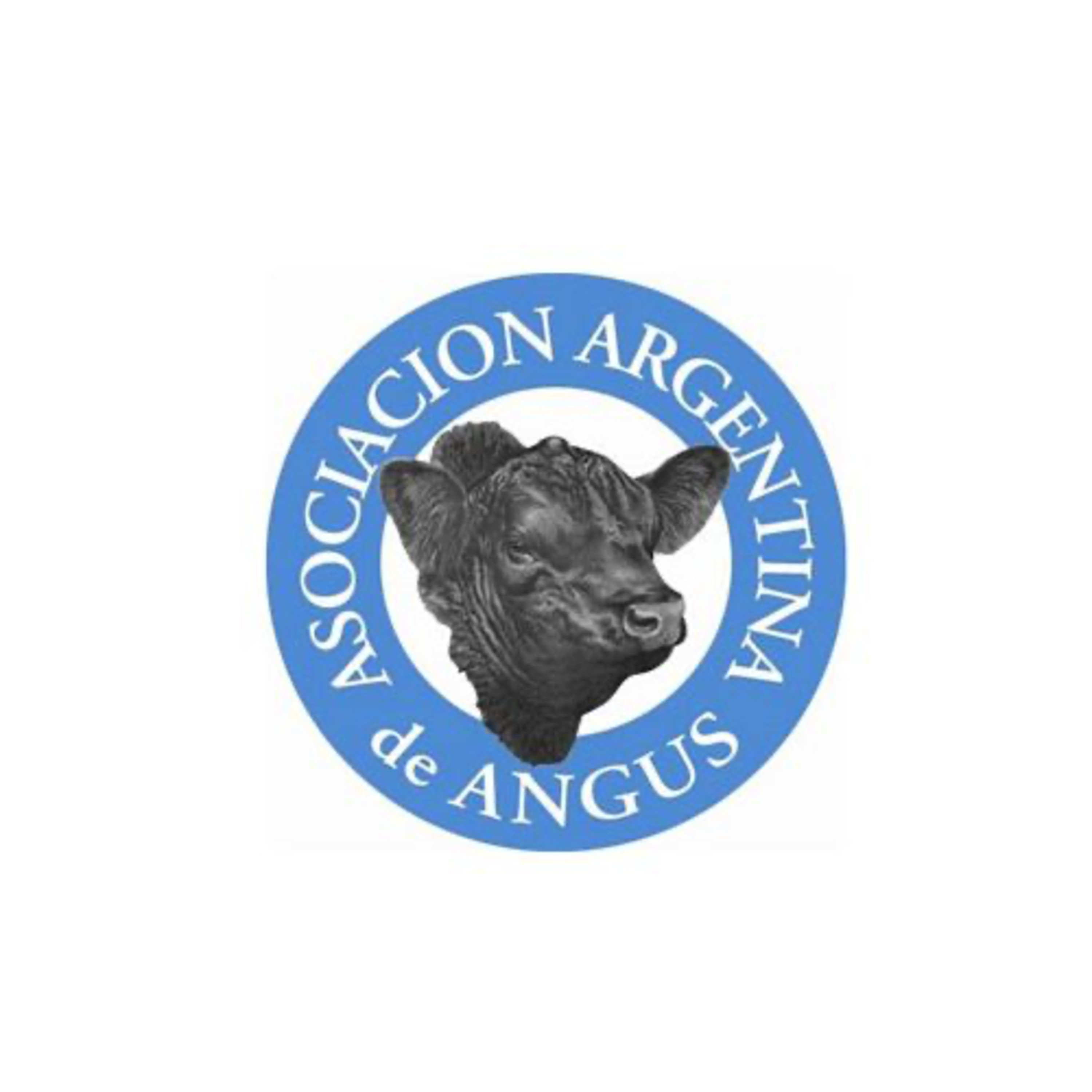 Palabra de Campo