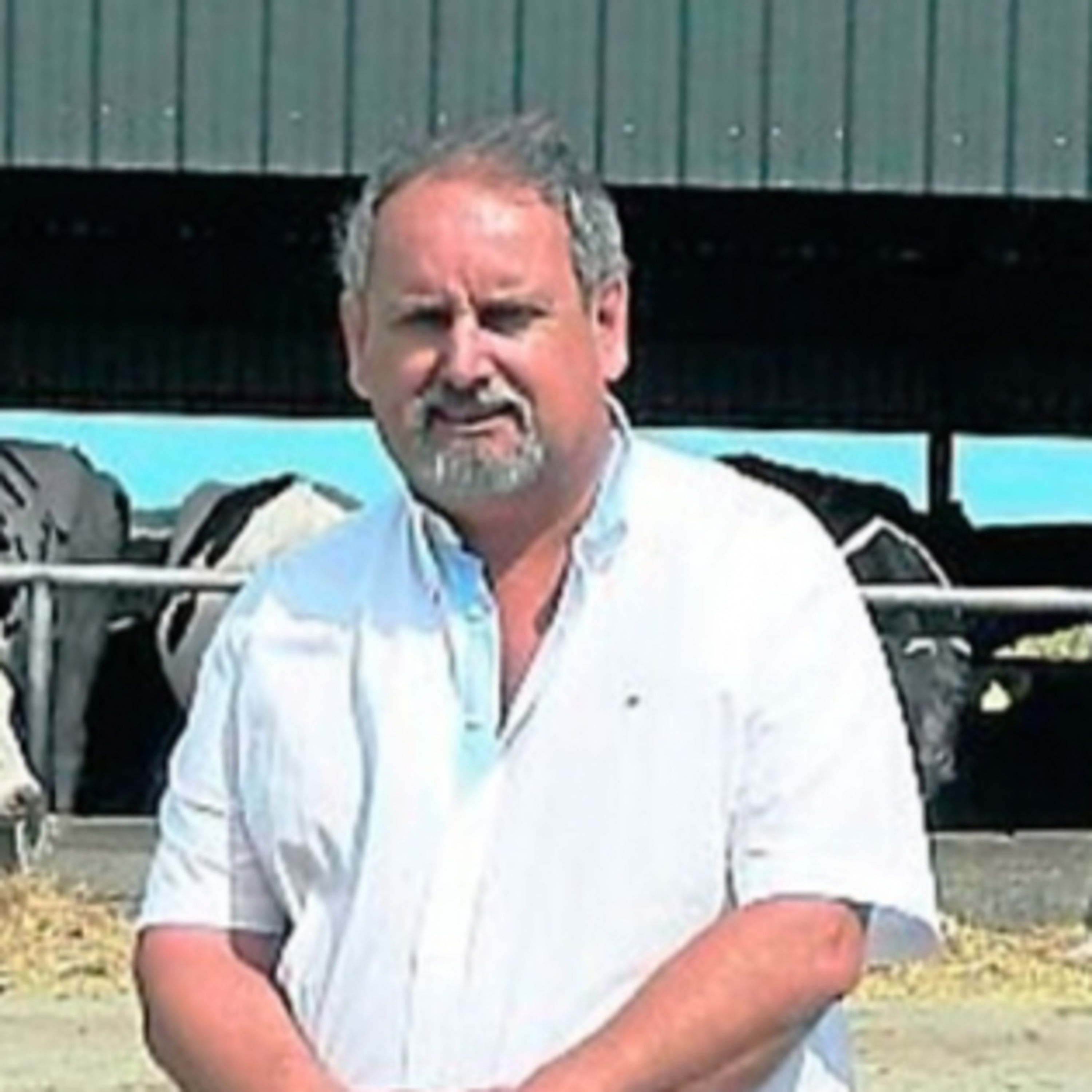 Portada de Palabra de Campo