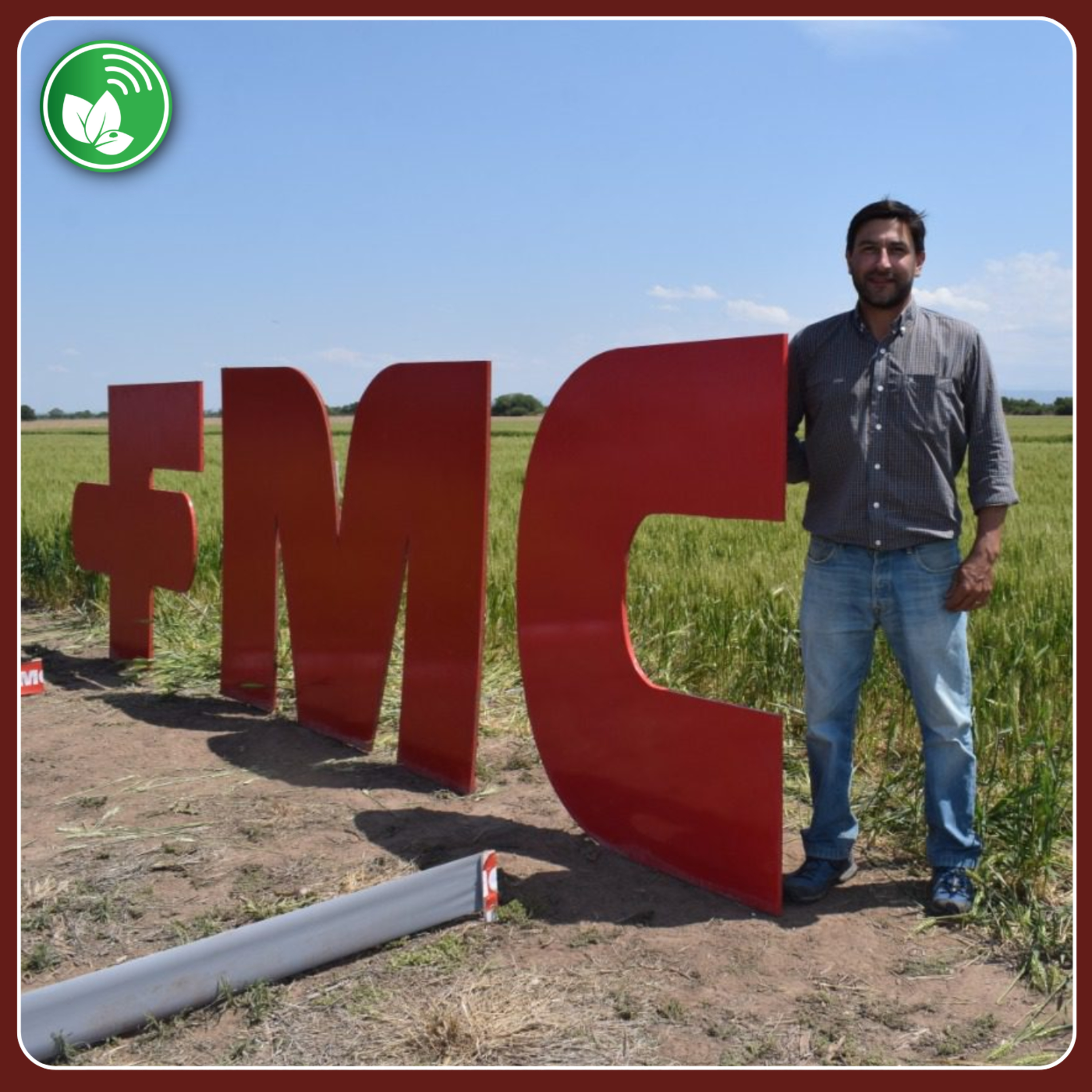 Portada de Palabra de Campo